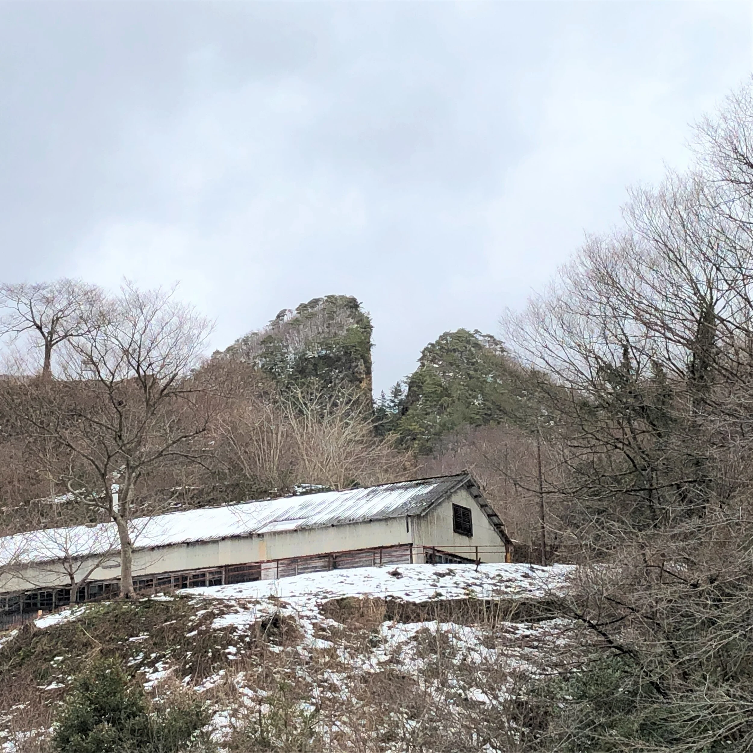 目の前には輝く異世界 佐渡金山でmrグラスをかけるウォークスルー型アトラクション Island Mirrorge アイランド ミラージュ さどトリコ サドトリコ さどとりこ