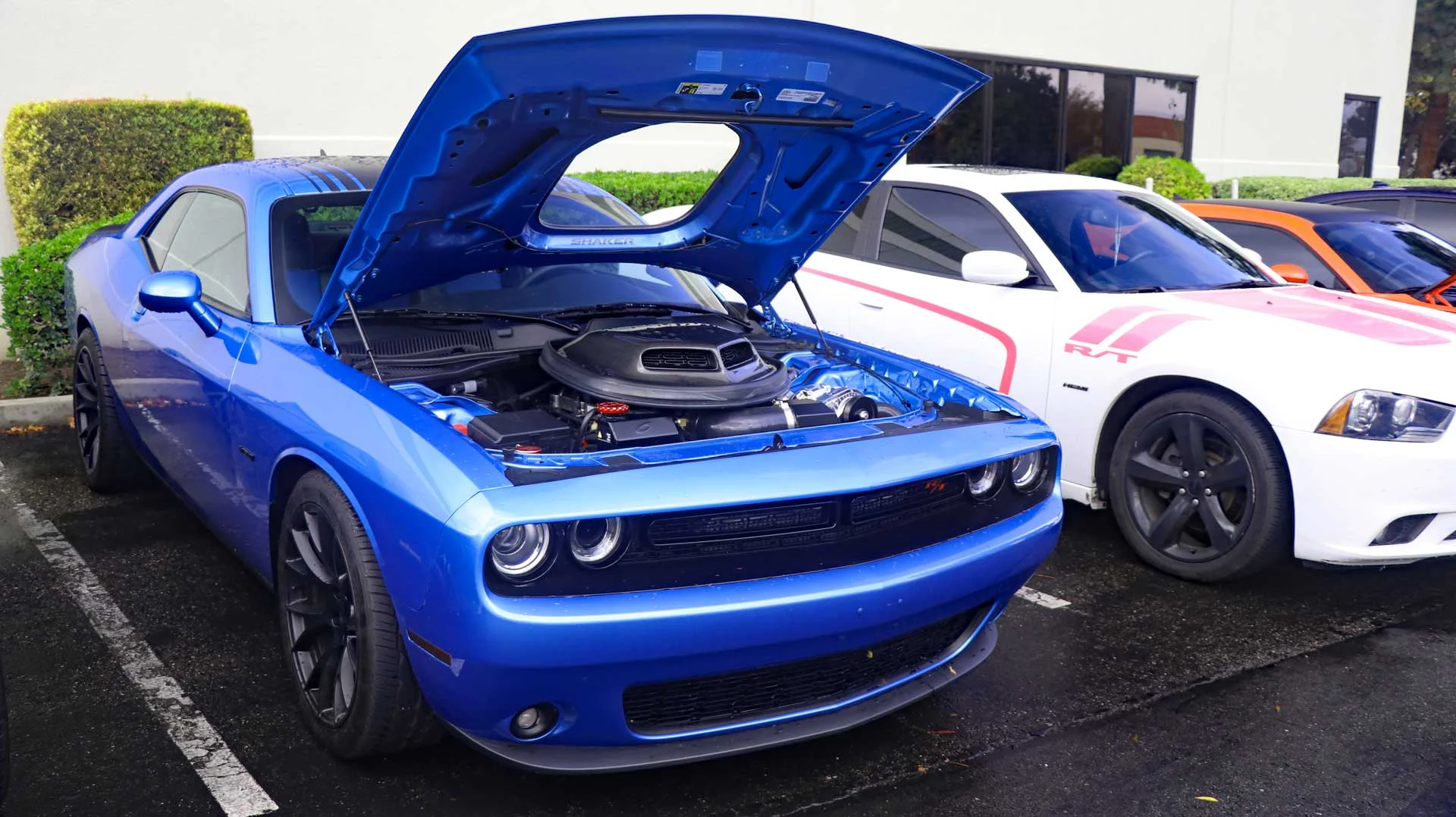 C&C_12-01-18_San_Jose_IMG_0355.jpg