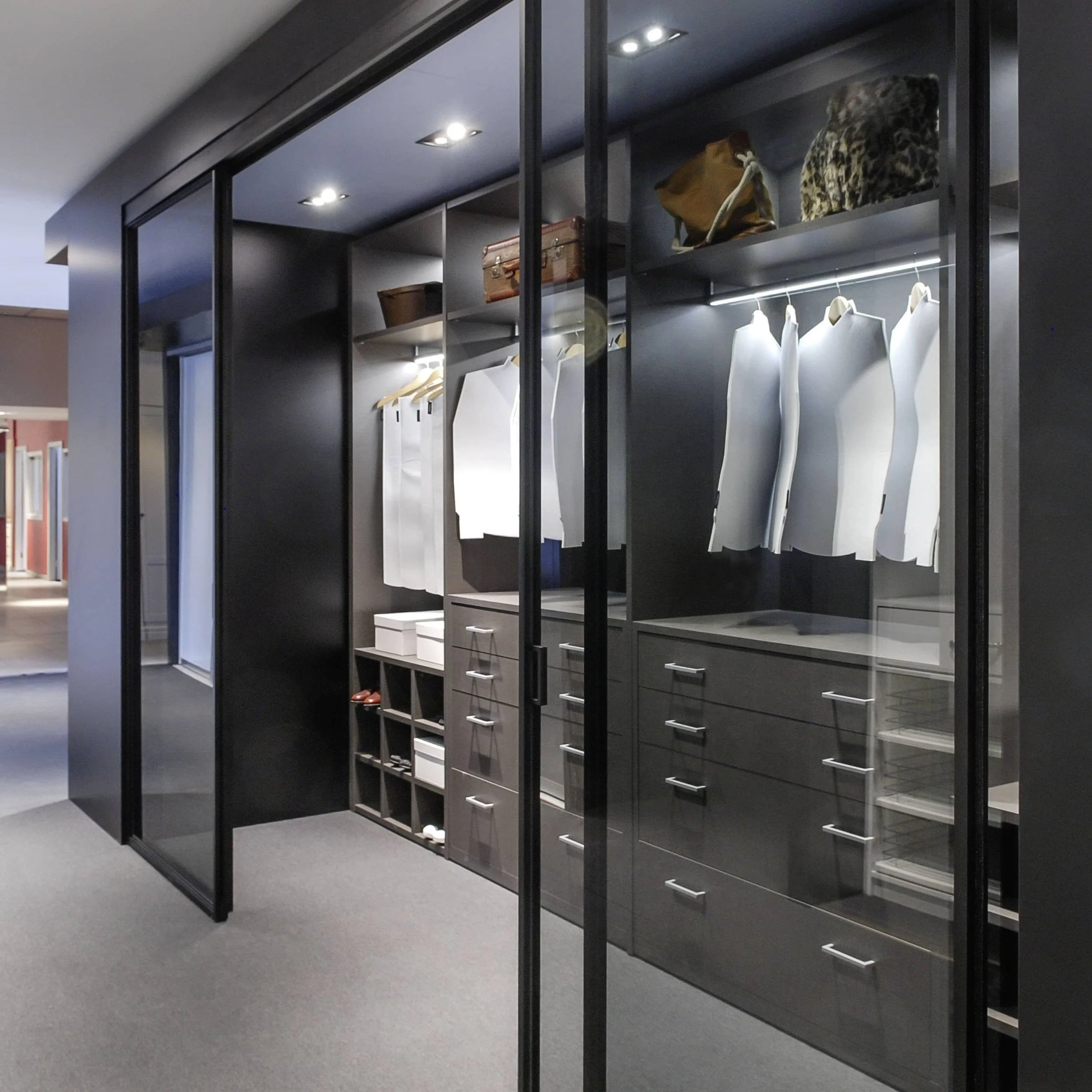 Picture of Modern Luxury Walk In Closet at Alice Hager blog
