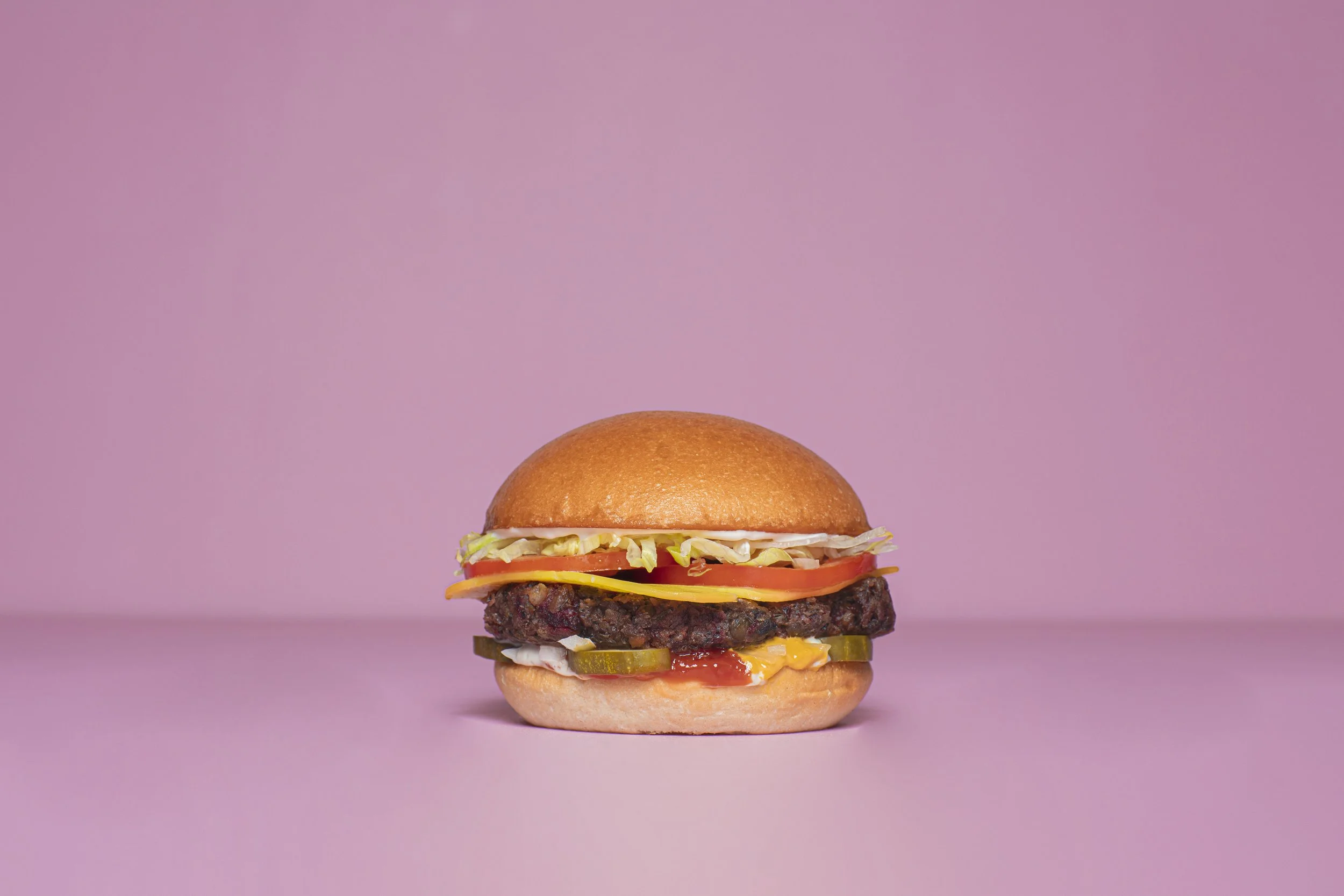 Cheeseburger solo.jpg