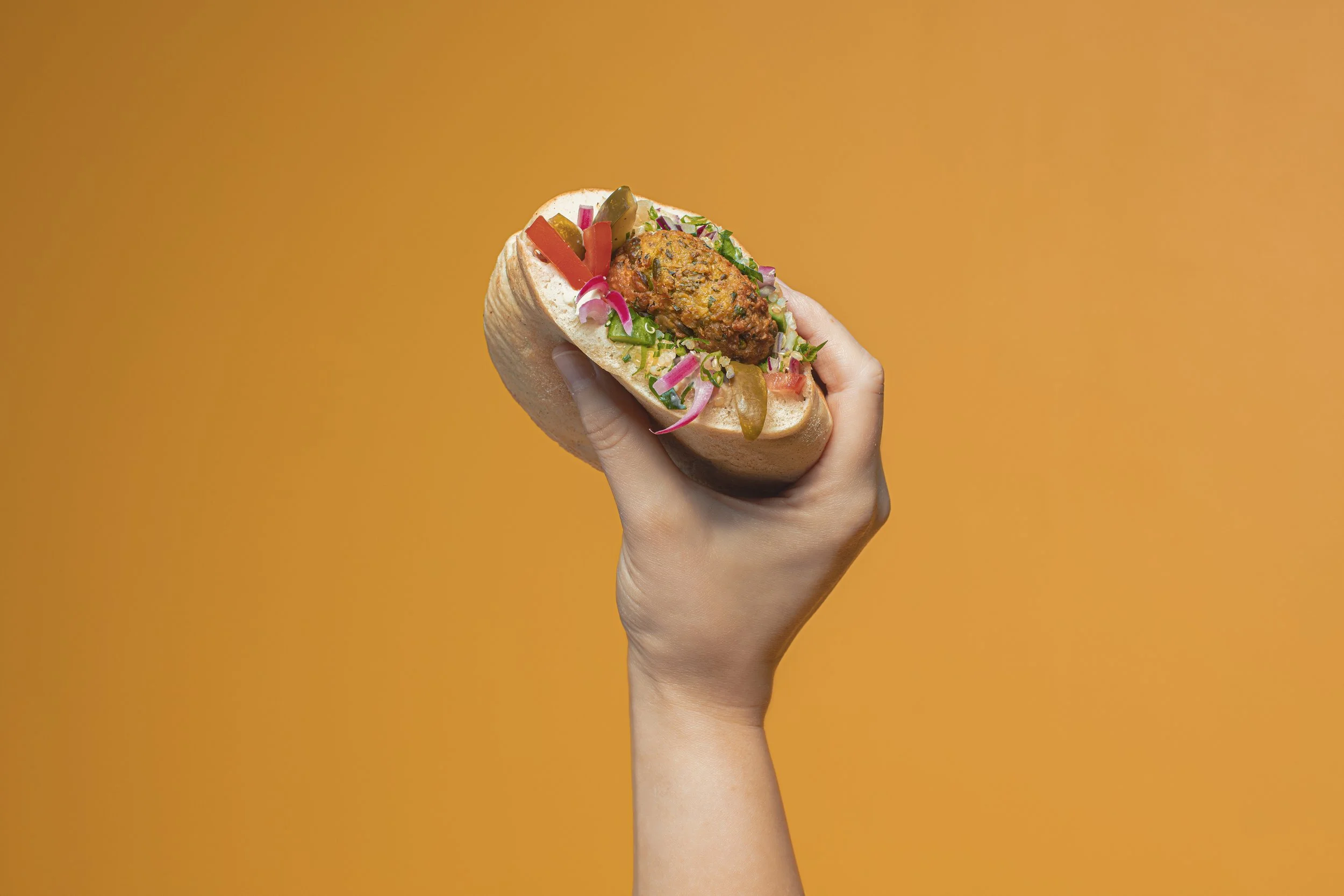 Falafal Pita.jpg