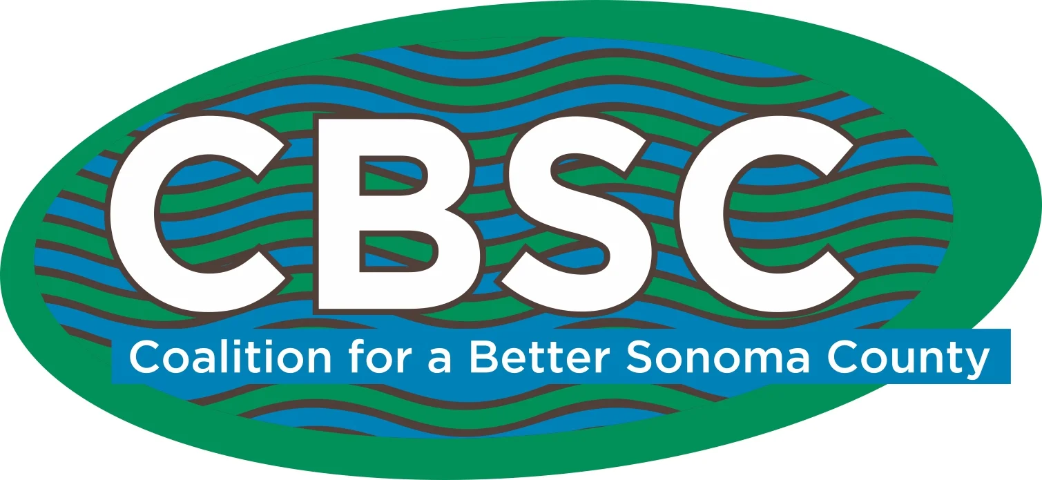 cbsc_2014_color_logo_big.jpg