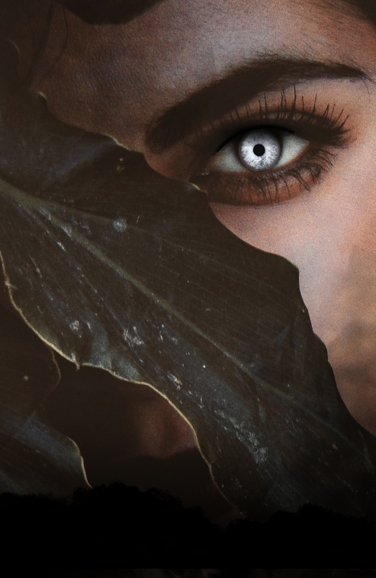 Unborn Special Edition Book Box