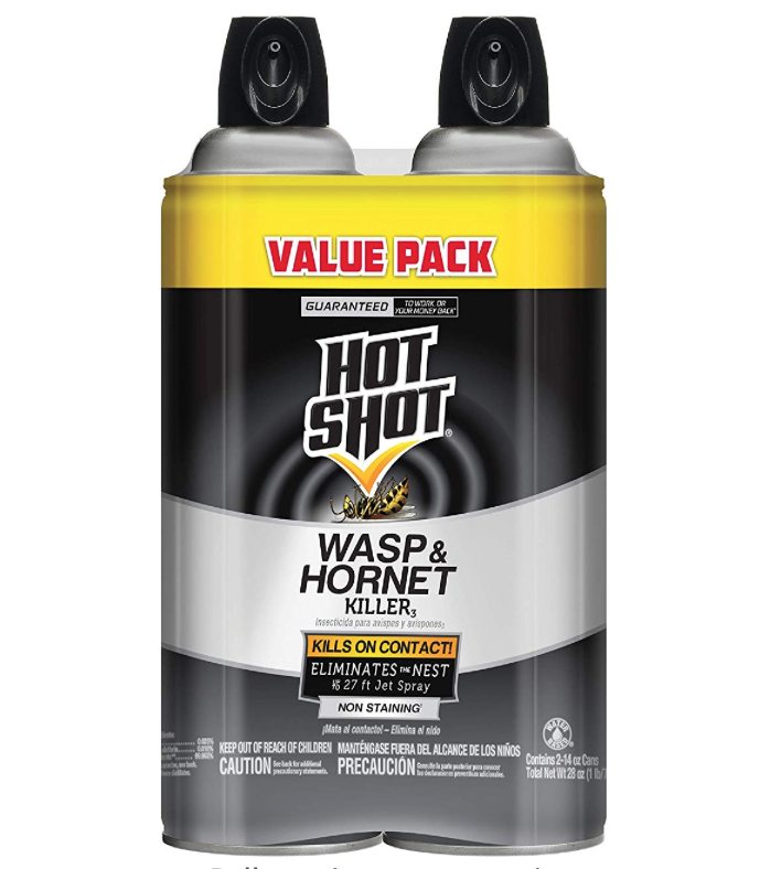 Hot Shot 2-Pack Wasp Spray