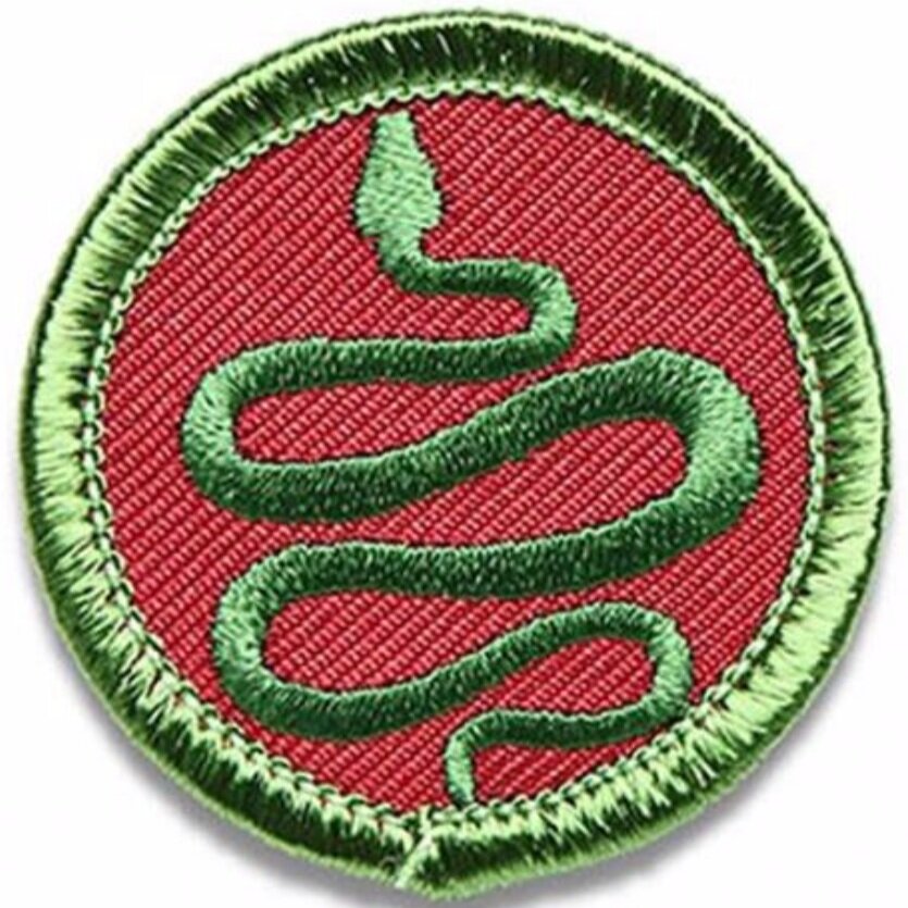 Snake Badge - Patches from El Cosmico Provisions Co.