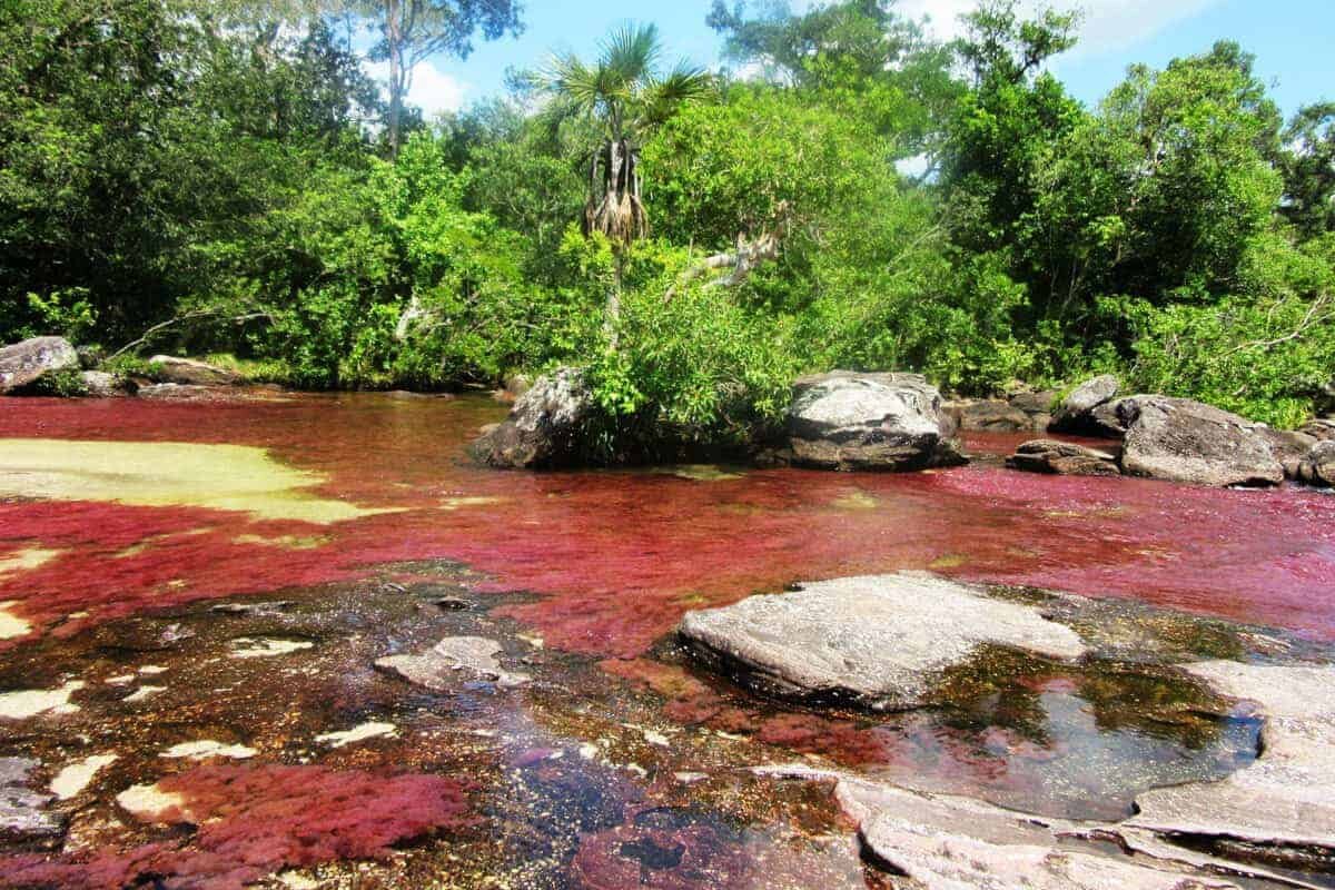 Caño Cristales, The Liquid Rainbow in Colombia - information from SouthAmericanBackpacker.com