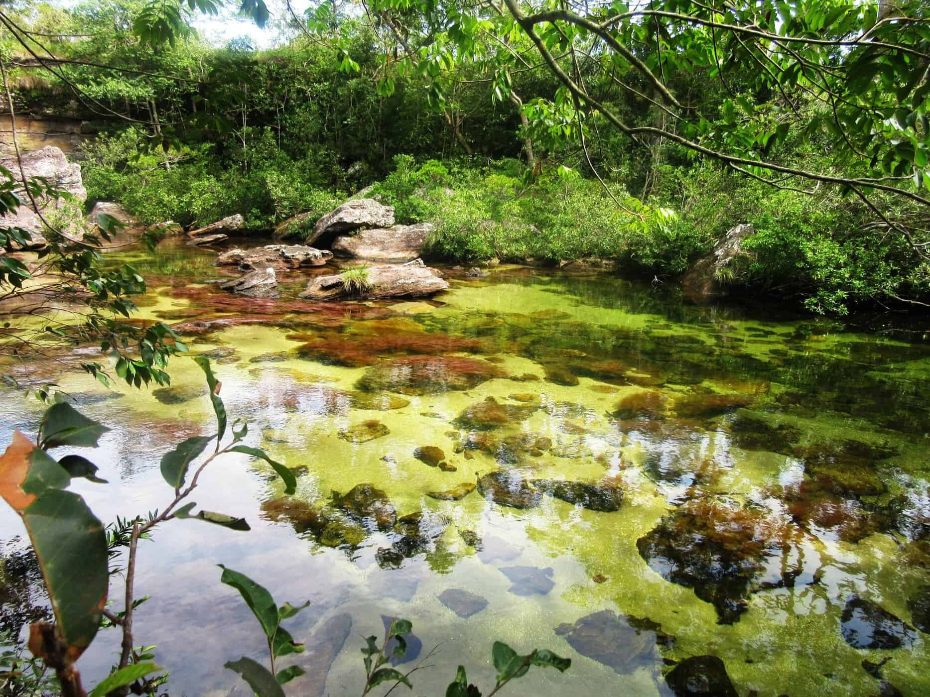 Caño Cristales, The Liquid Rainbow in Colombia - information from SouthAmericanBackpacker.com