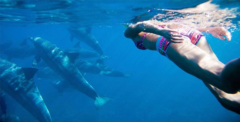 Swimming with Dolphins in Mauritius