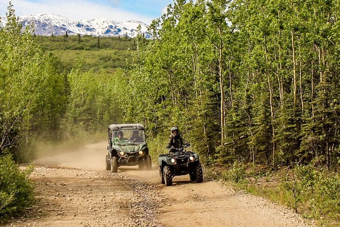 2.5-Hour Denali Wilderness ATV Adventure Tour booked through Viator