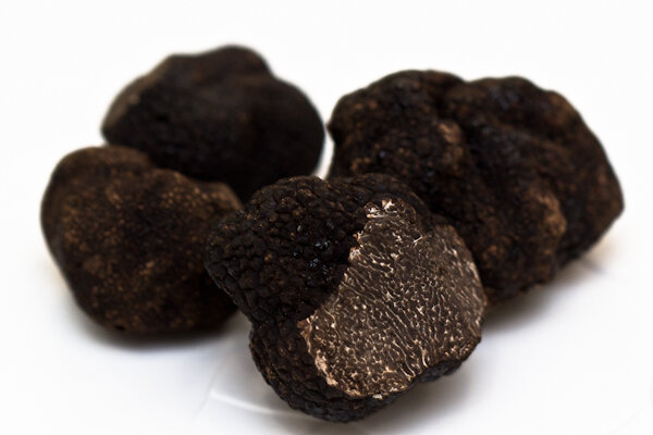 Truffle Tasting at Hiely Lucullus Restaurant - Avignon, France