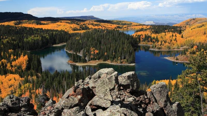 Grand Mesa National Forest - Grand Junction, Colorado