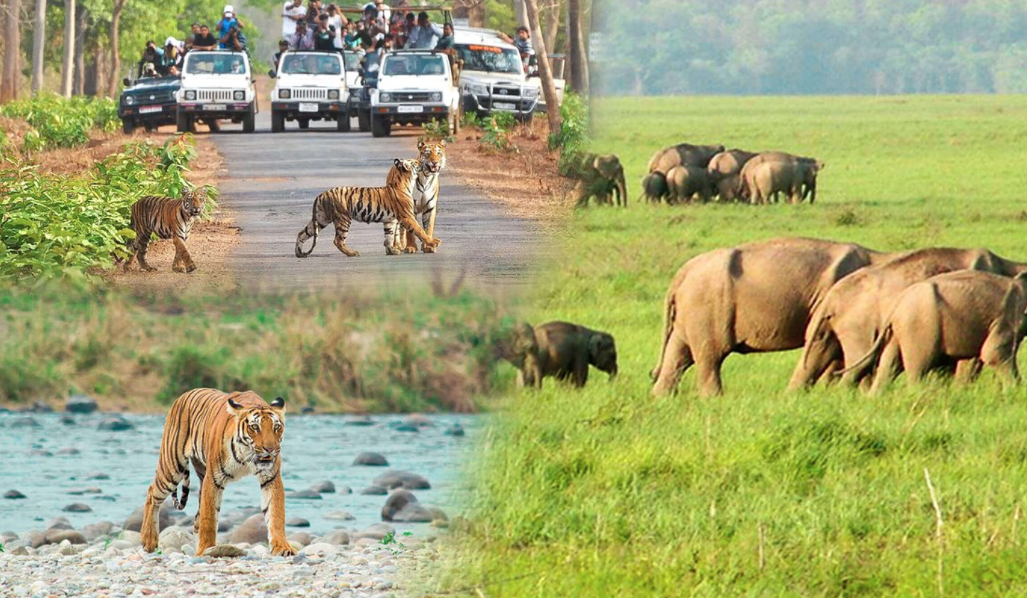  Rajaji National Park - TripAdvisor photo submitted to TripAdvisor by Shreejtravels