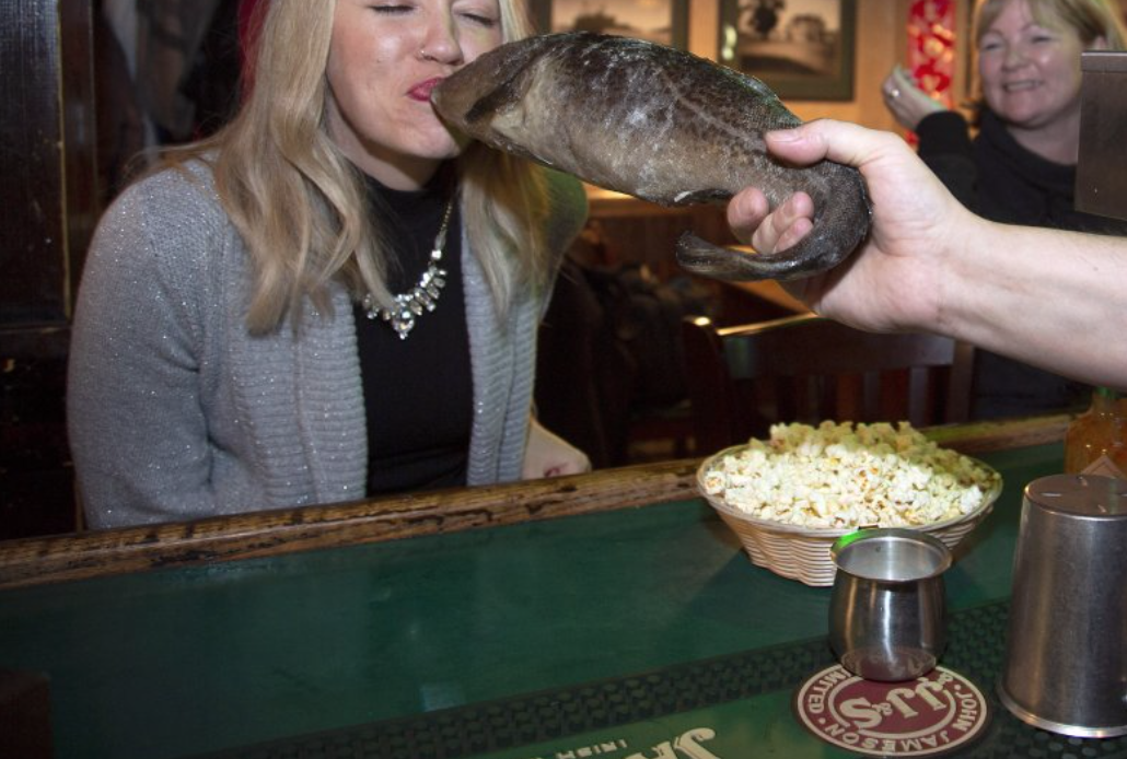 Kissing the Cod at Christian's Pub - - St. John's, Newfoundland and Labrador, Canada - GlobalNews.ca