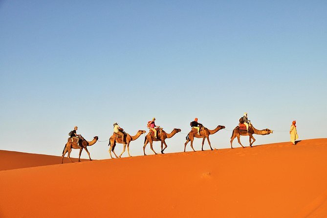 3-Day Tunisia Sahara Desert Camel Trek from Douz - Viator.com