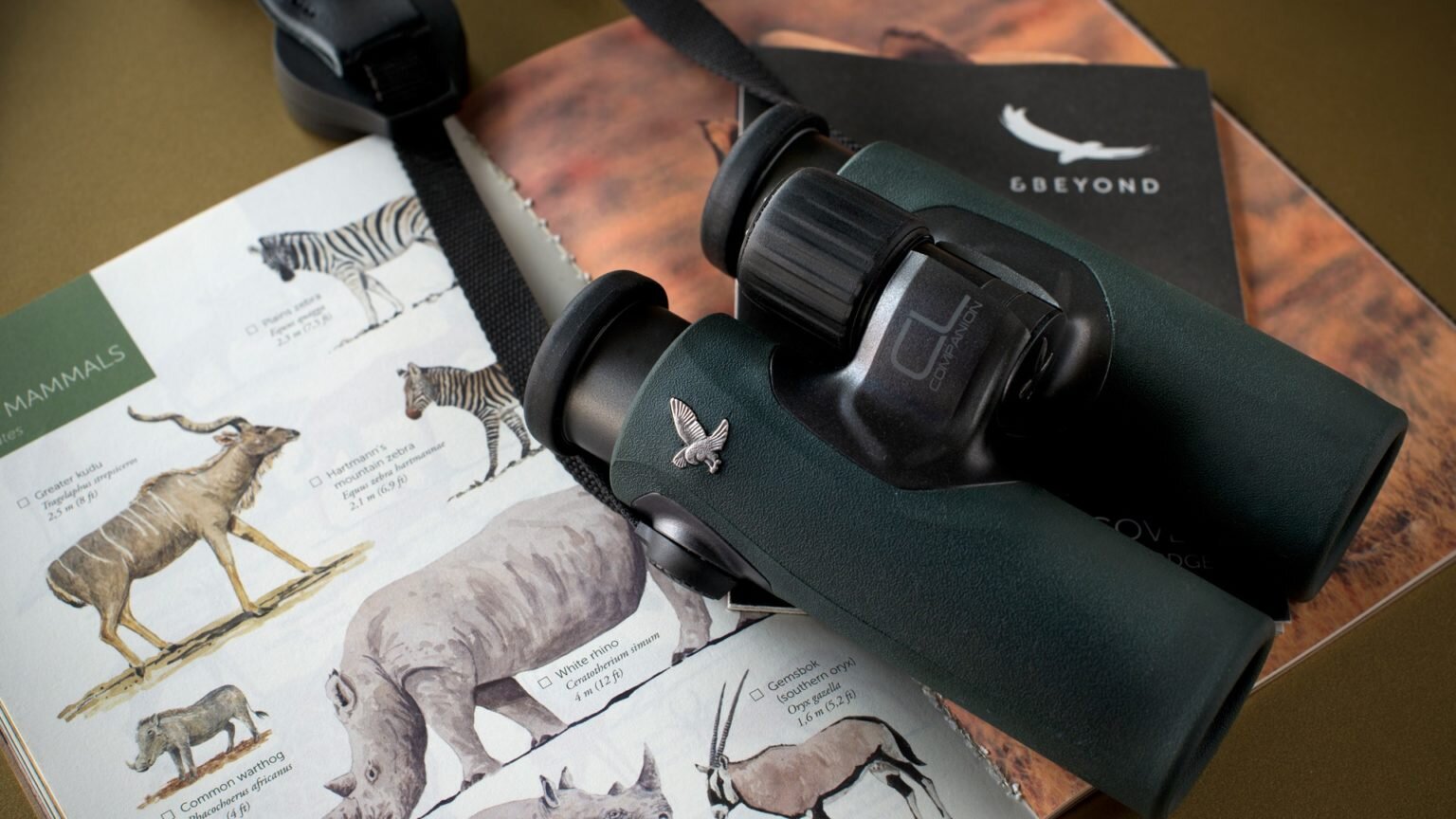 Complimentary Binoculars for Stargazing at &amp;Beyond Sossusvlei Desert Lodge - Namibia, Africa