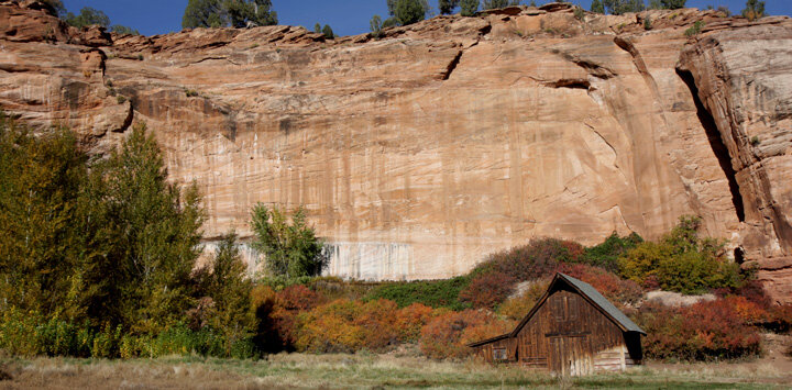  Kanab’s Best Friends Animal Sanctuary