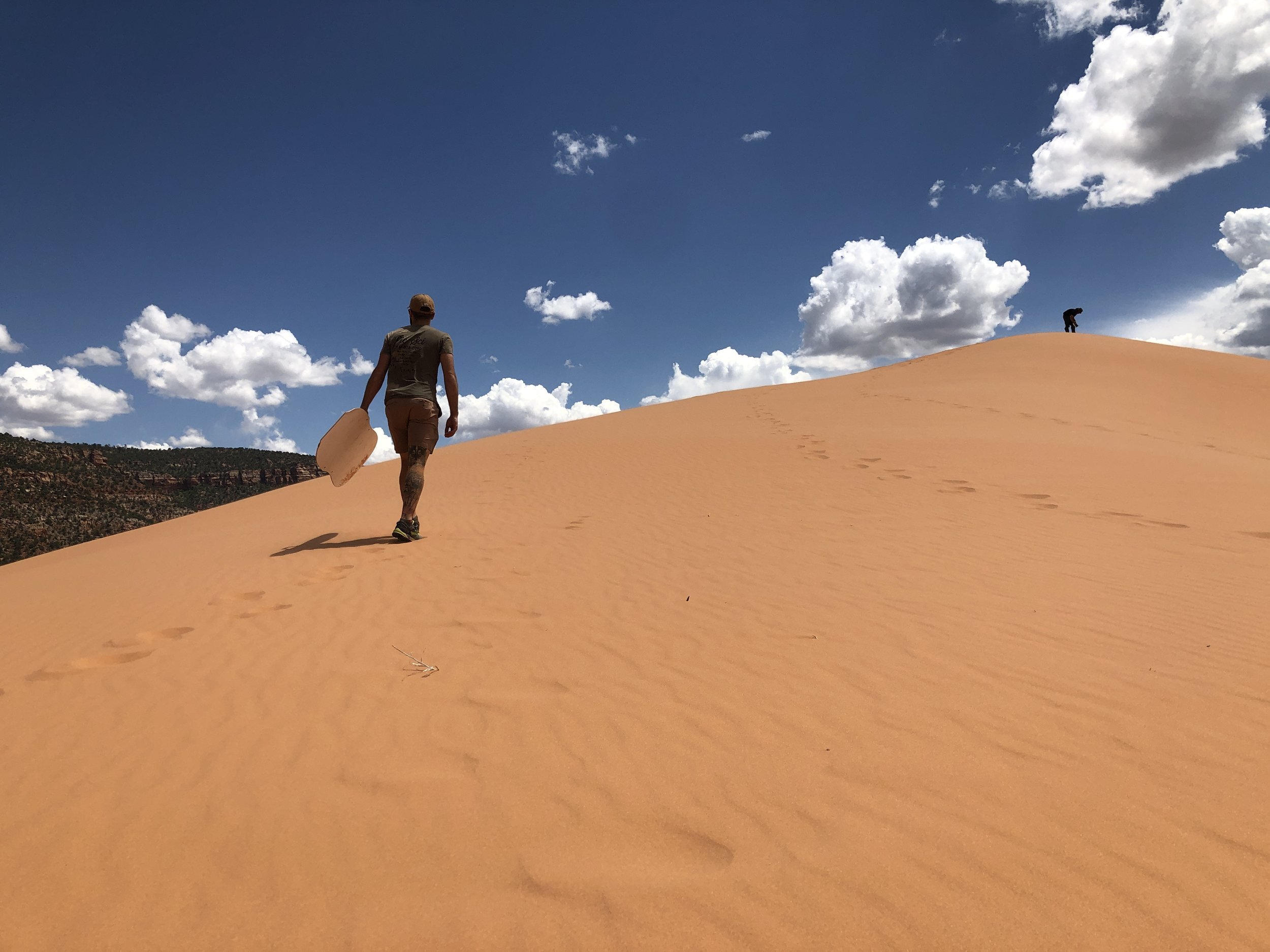 Coral Pink Sand Dunes in Utah - Out of Office Adventures