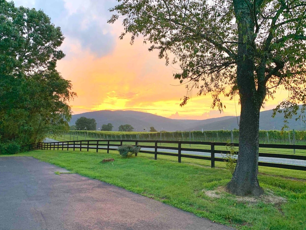 Vineyard &amp; Mountain View Retreat in Charlottesville, Virginia on Airbnb