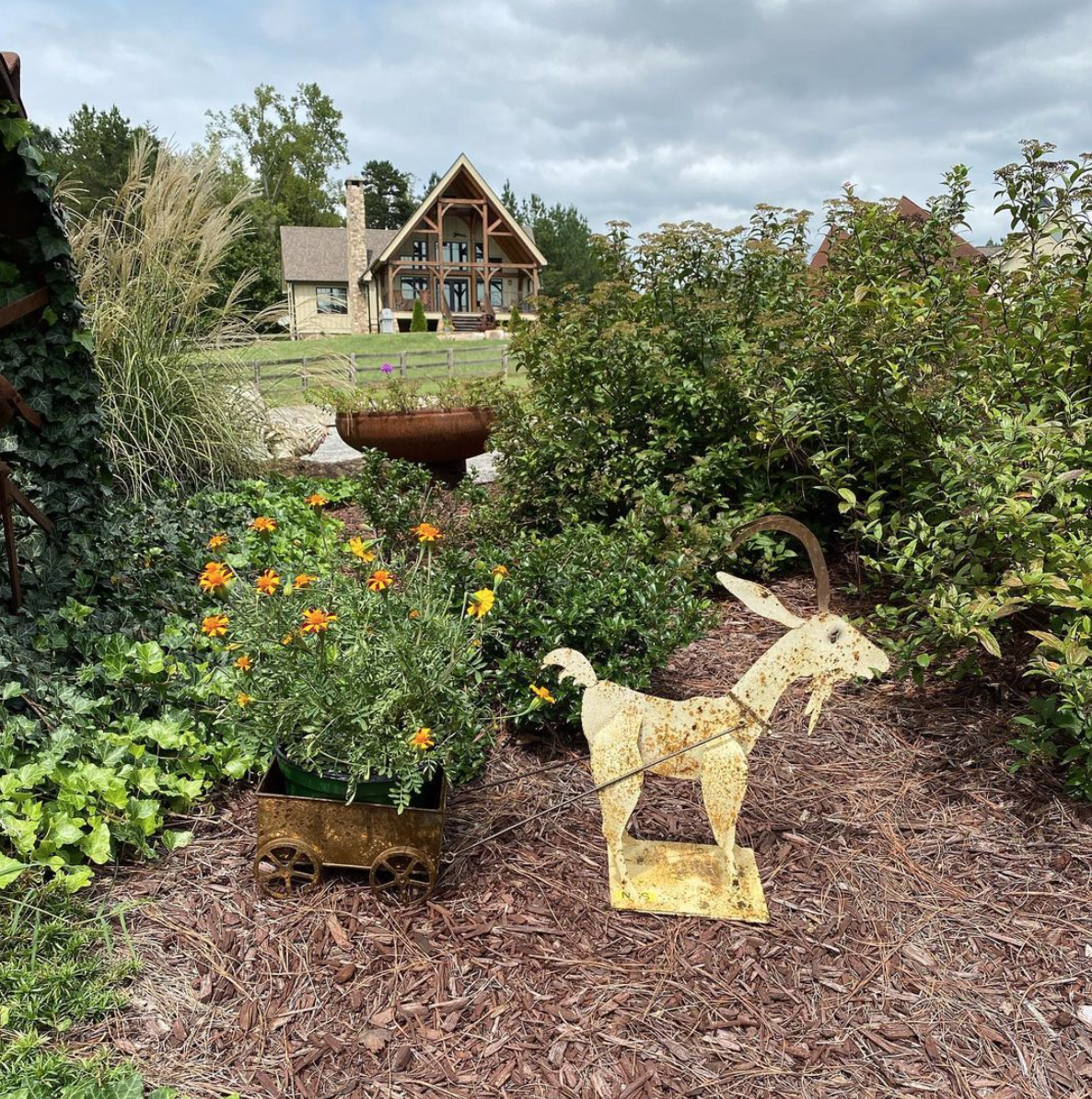 Cherry Mountain Farm - Rutherfordton, North Carolina (Copy)