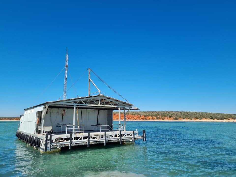 Blue Lagoon Pearl Farm - Shark Bay, Australia