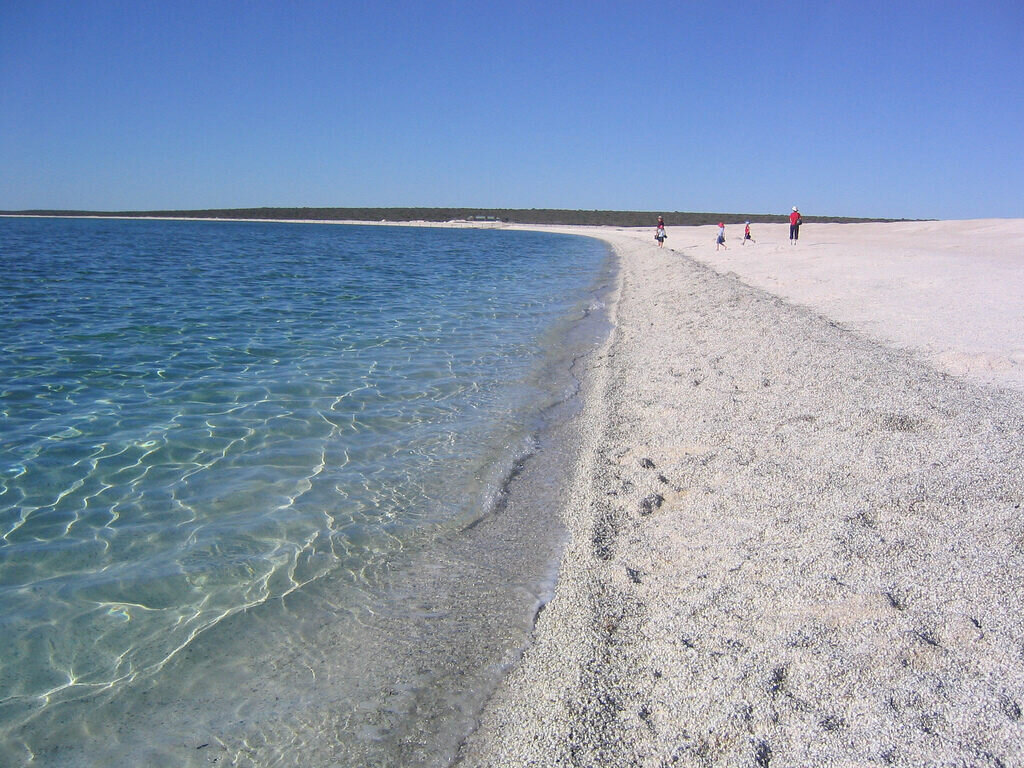 Shells Beach, Shark Bay, Australia