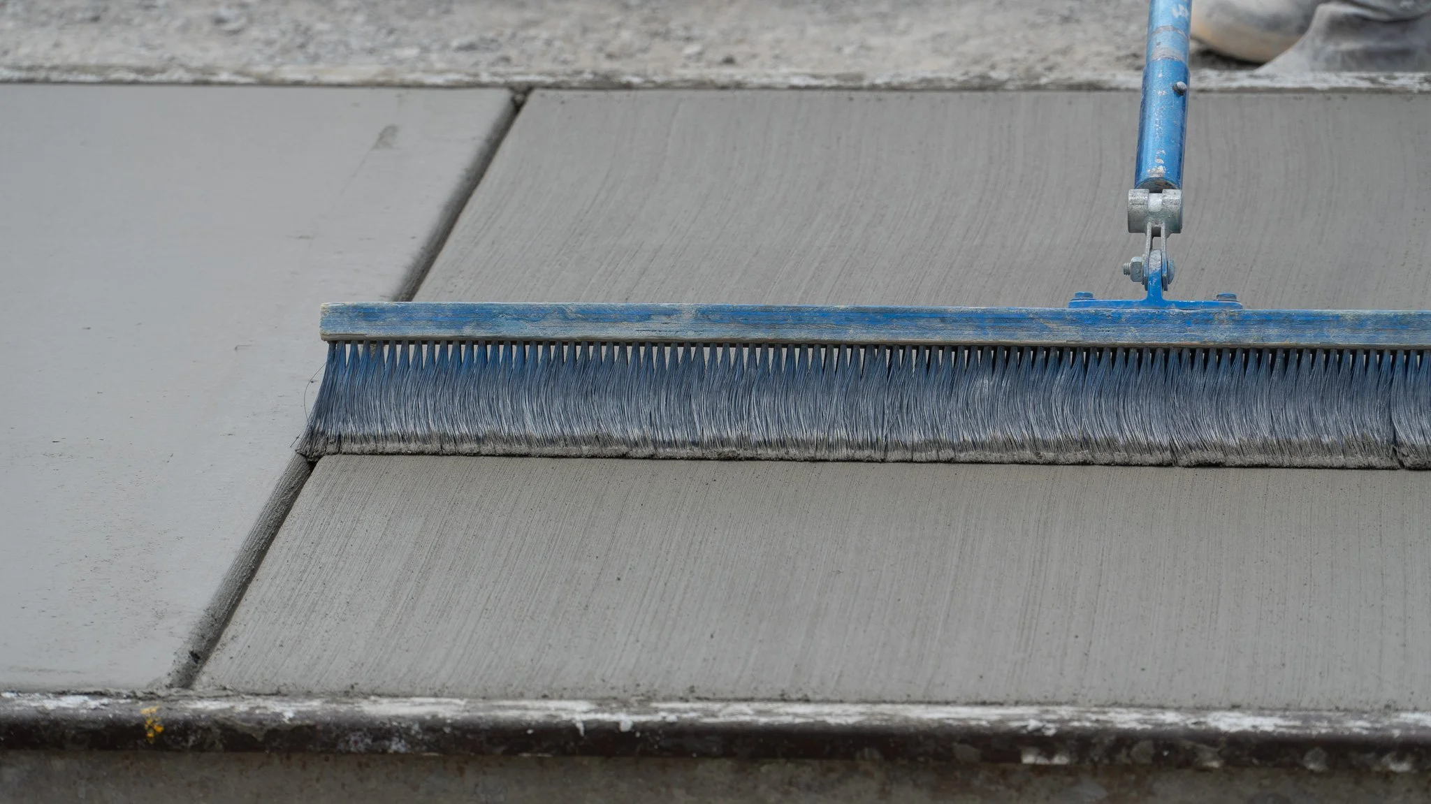 DSC04537.jpg