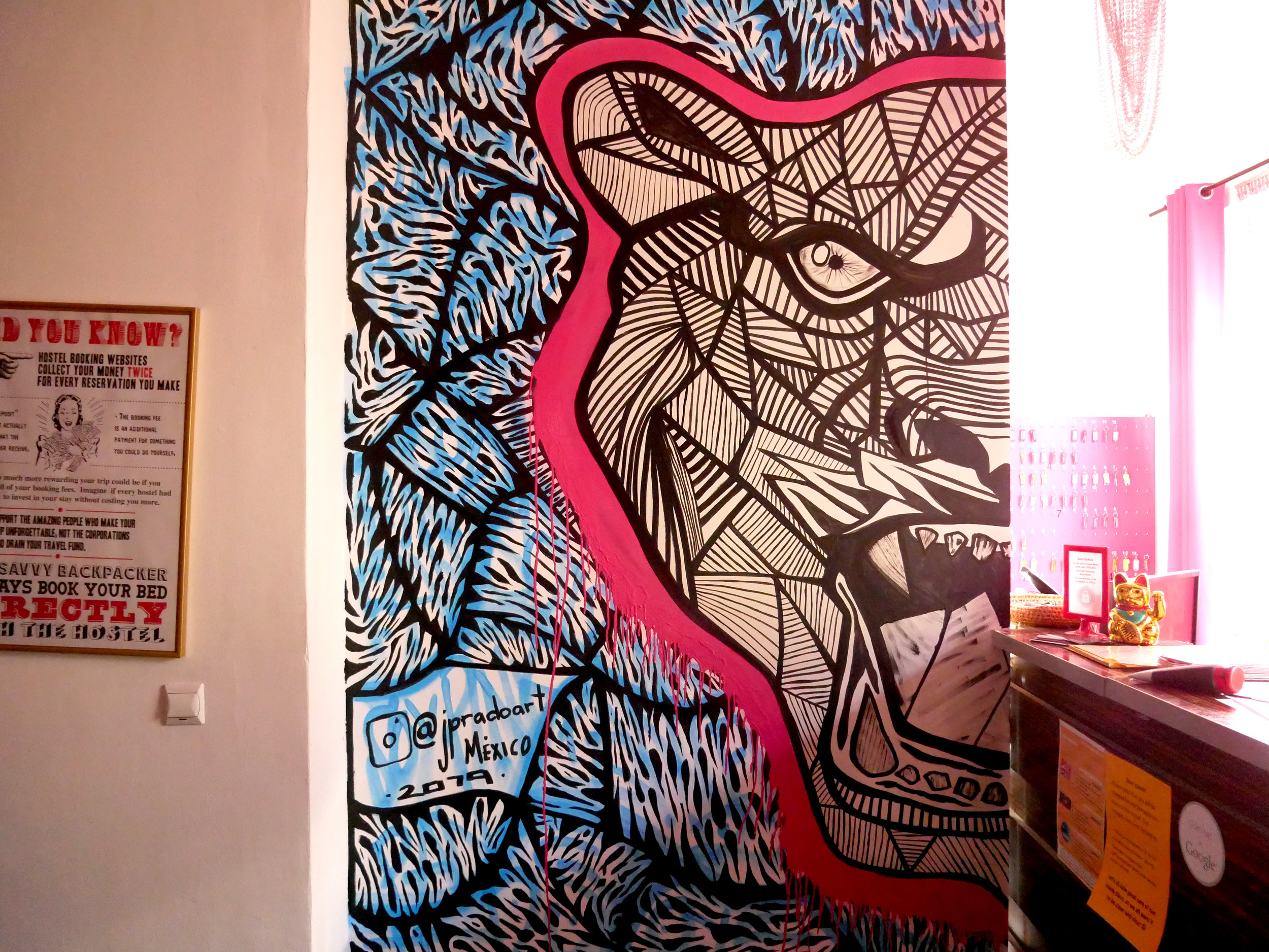 P1010278.jpg