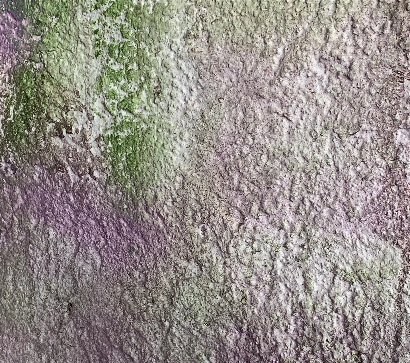 16854F68-4CFC-4DD2-BDFF-E334D07E8339 2.JPG