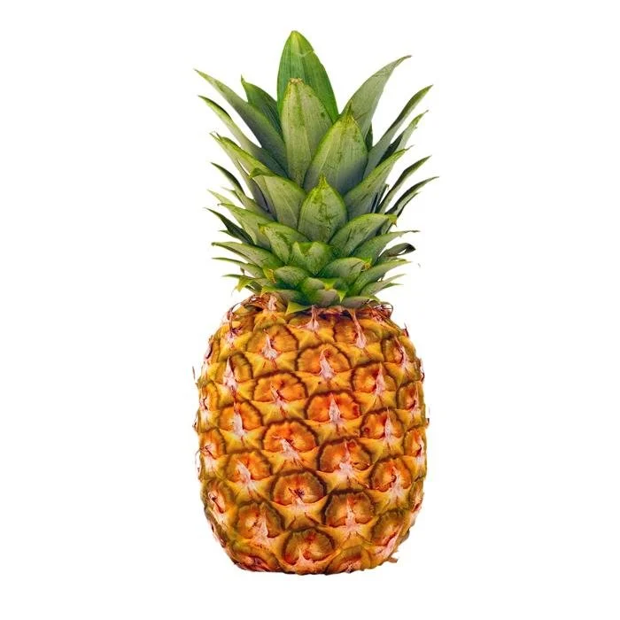 WhatsApp Image 2022-12-30 at 12.36.09.jpeg