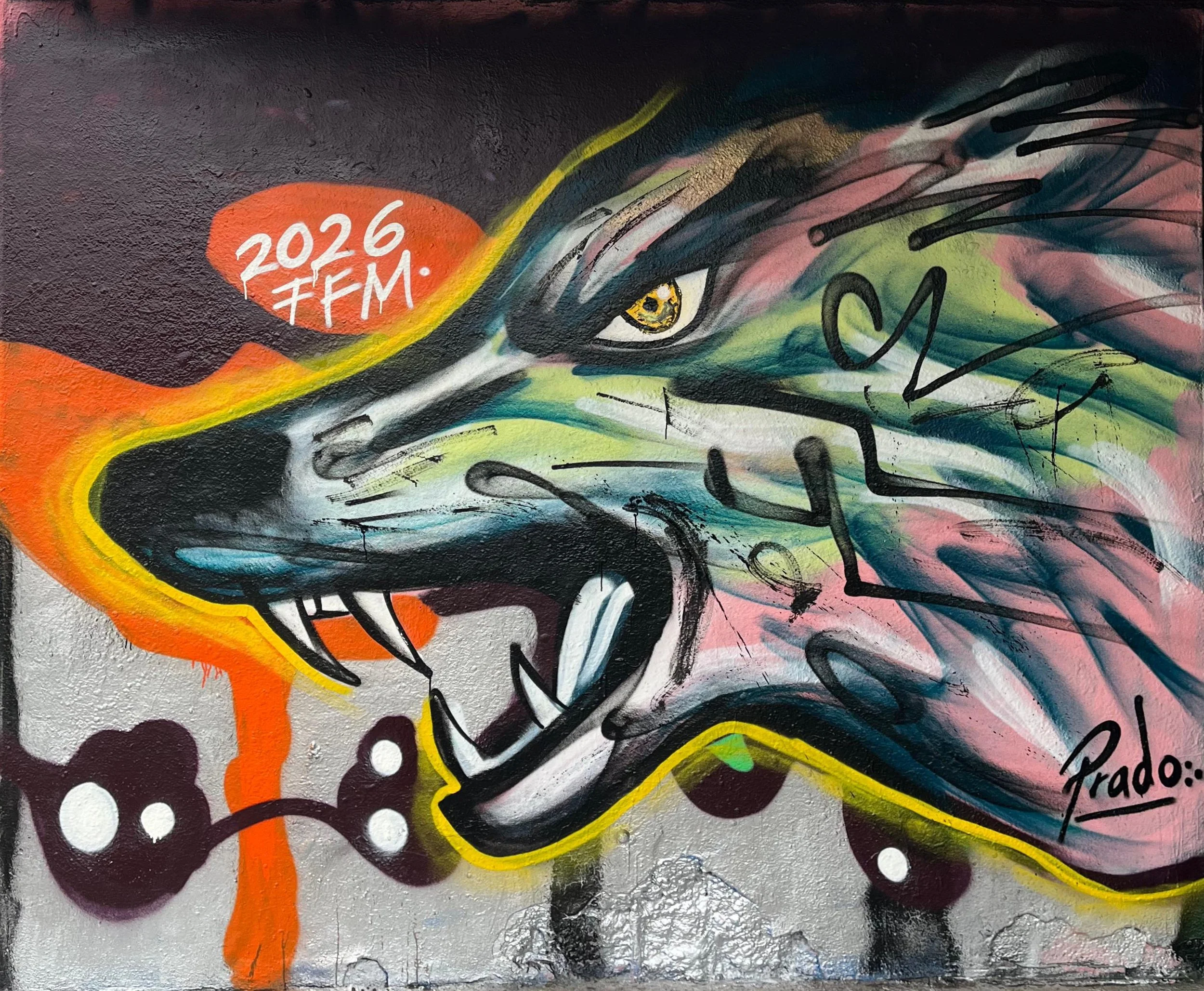 WhatsApp Image 2026-01-31 at 5.37.21 PM.jpg