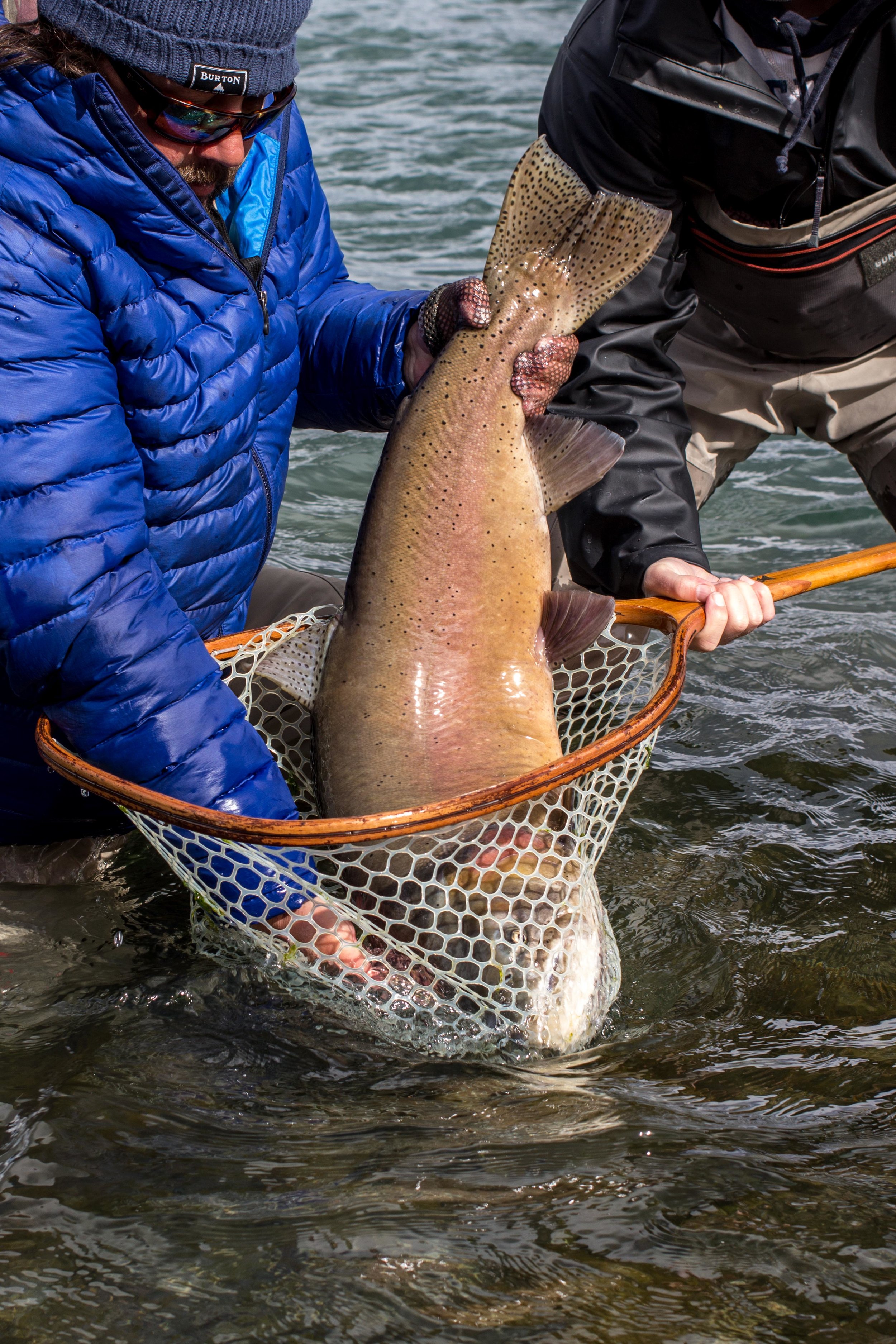 Arlo's Fly Fishing