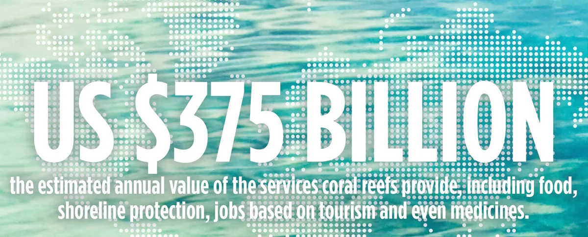 coralreef_infographic-3-(3).jpg
