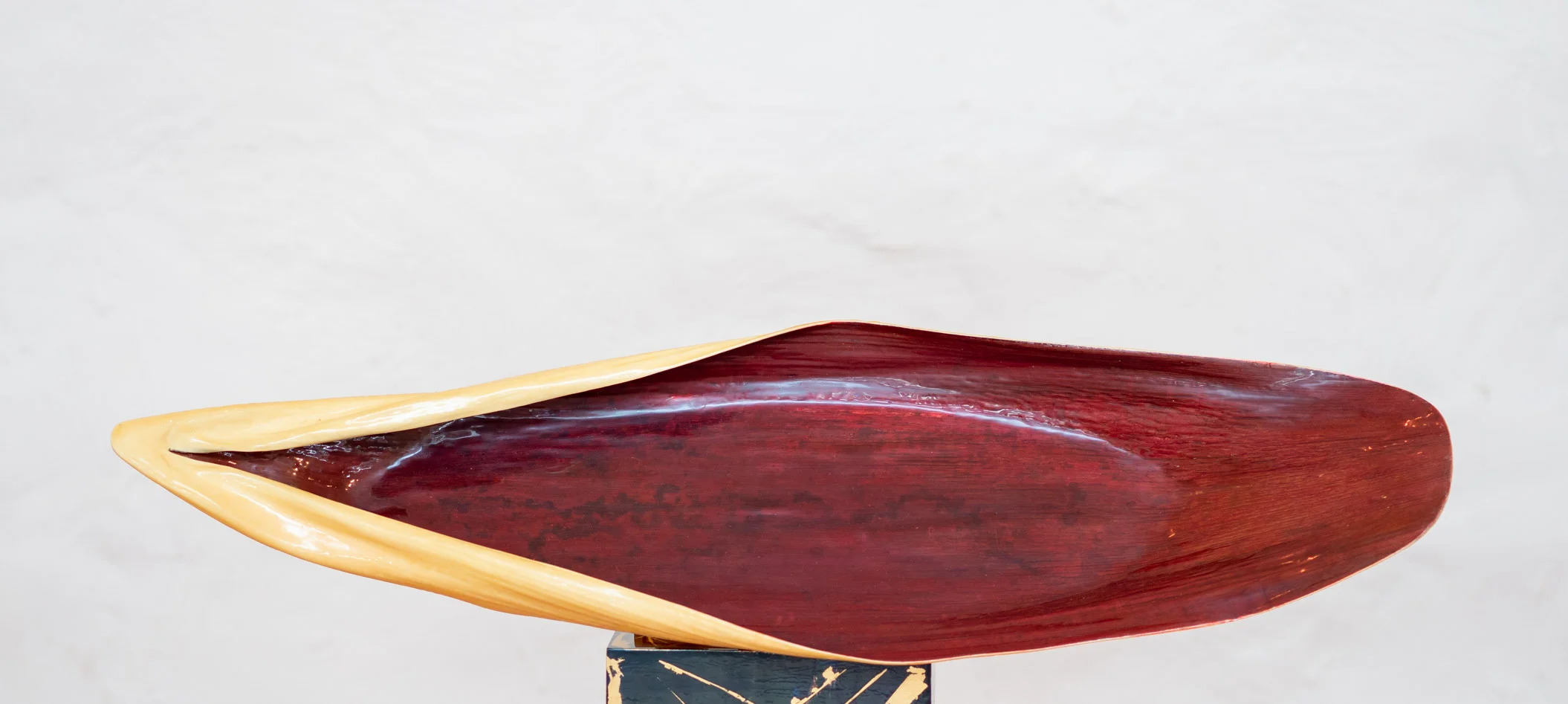 Ivory Float by Stuart Tatnell