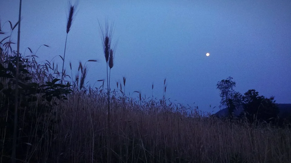 mooon.jpg
