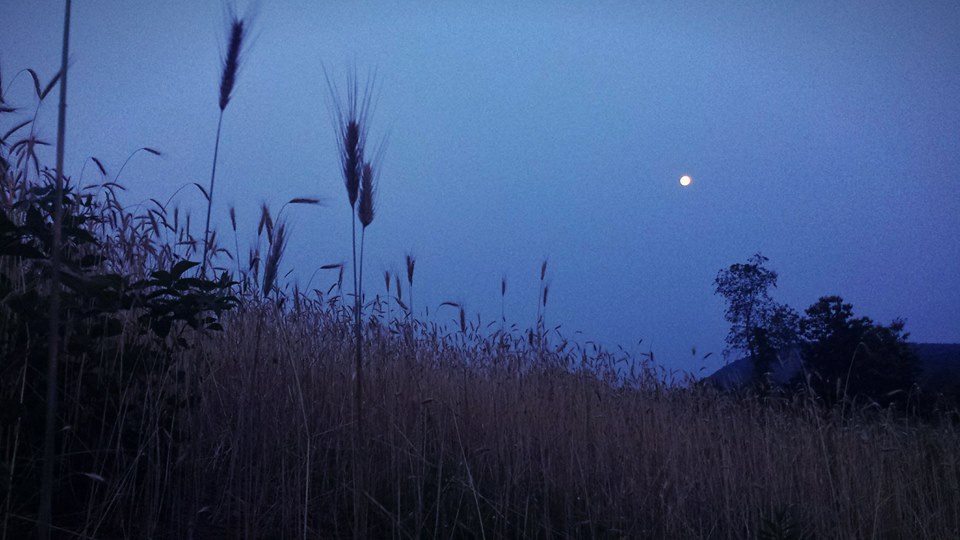 southern gothic books - to kill a mockingbird