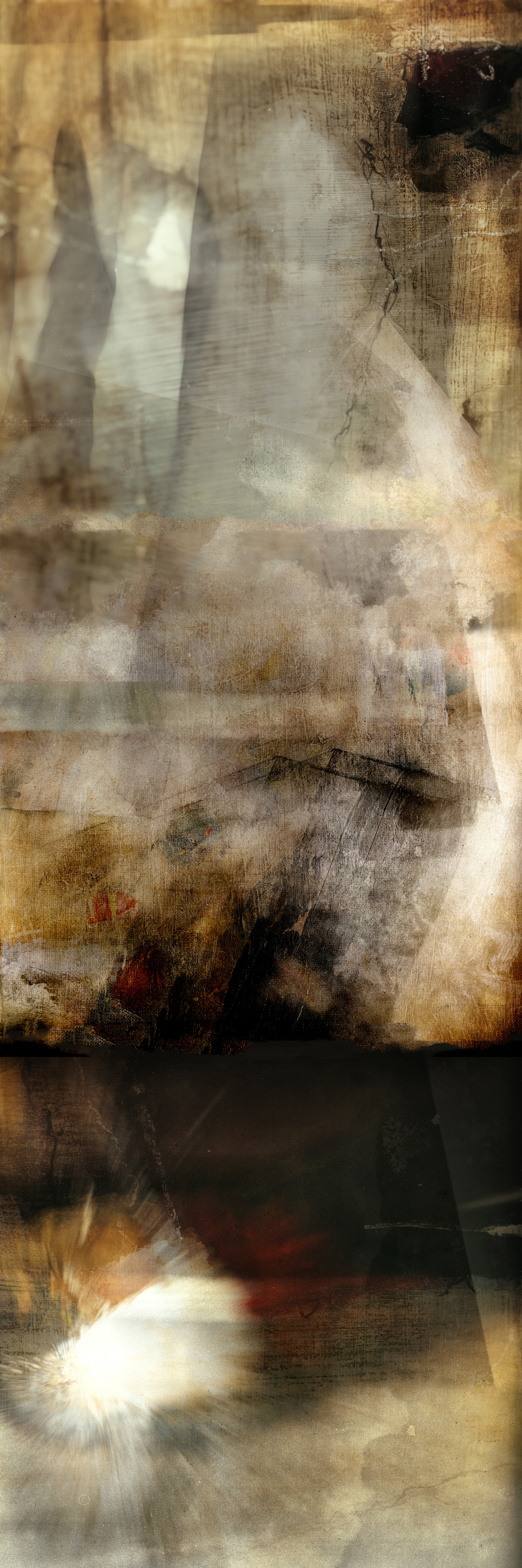 AngelaLicciardi_Inclusion_20x60_2018_LR.jpg