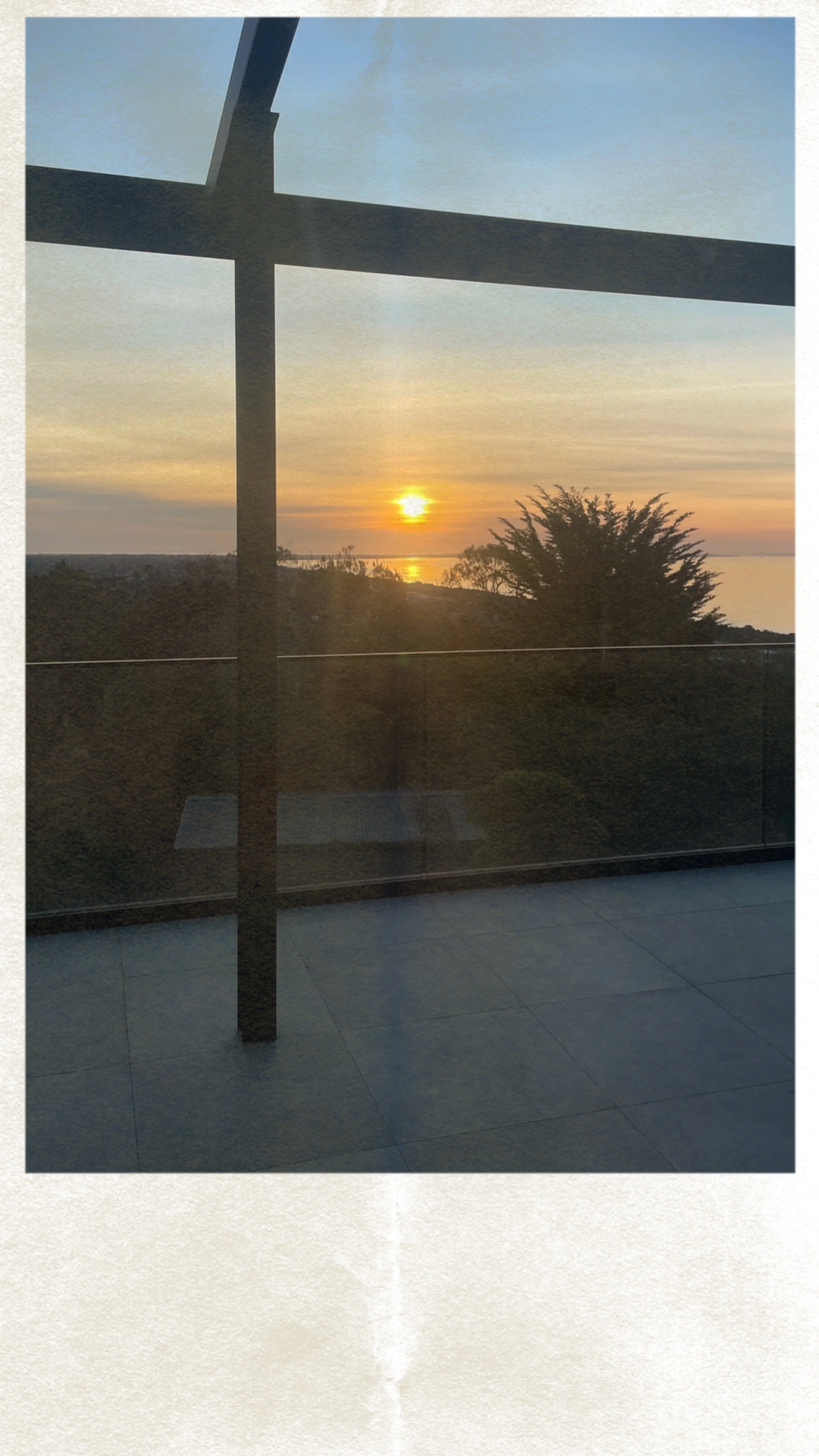 COLLECTOR SHARES &amp; SUNSET LIGHT