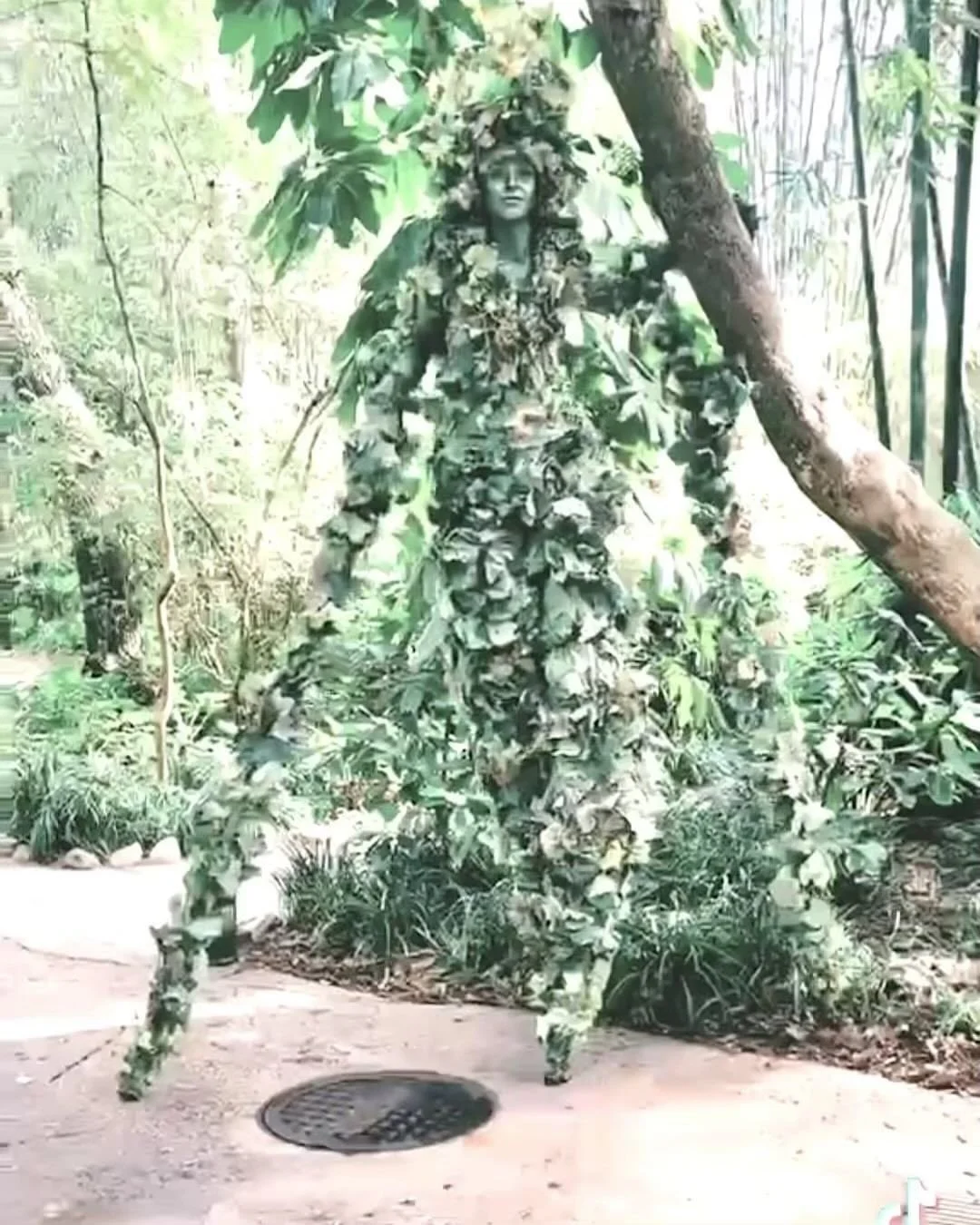 LIVING WORLD ENTERTAINMENT