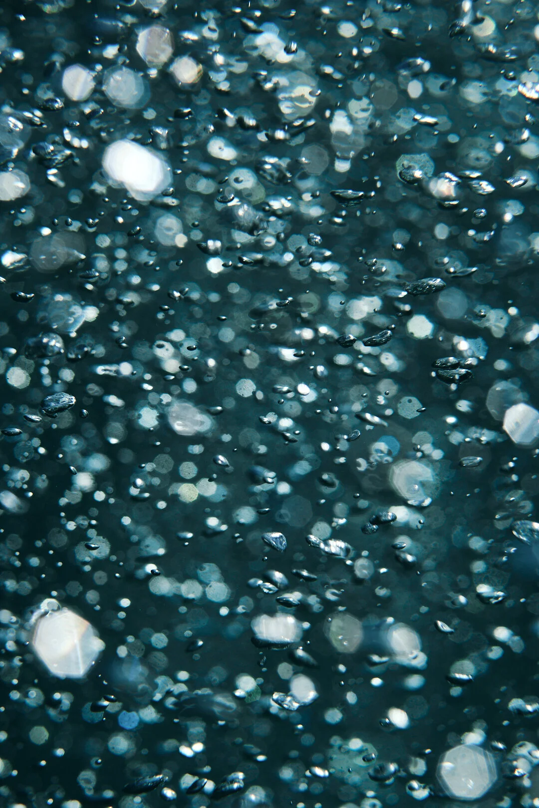 DSCF4253 1.jpg
