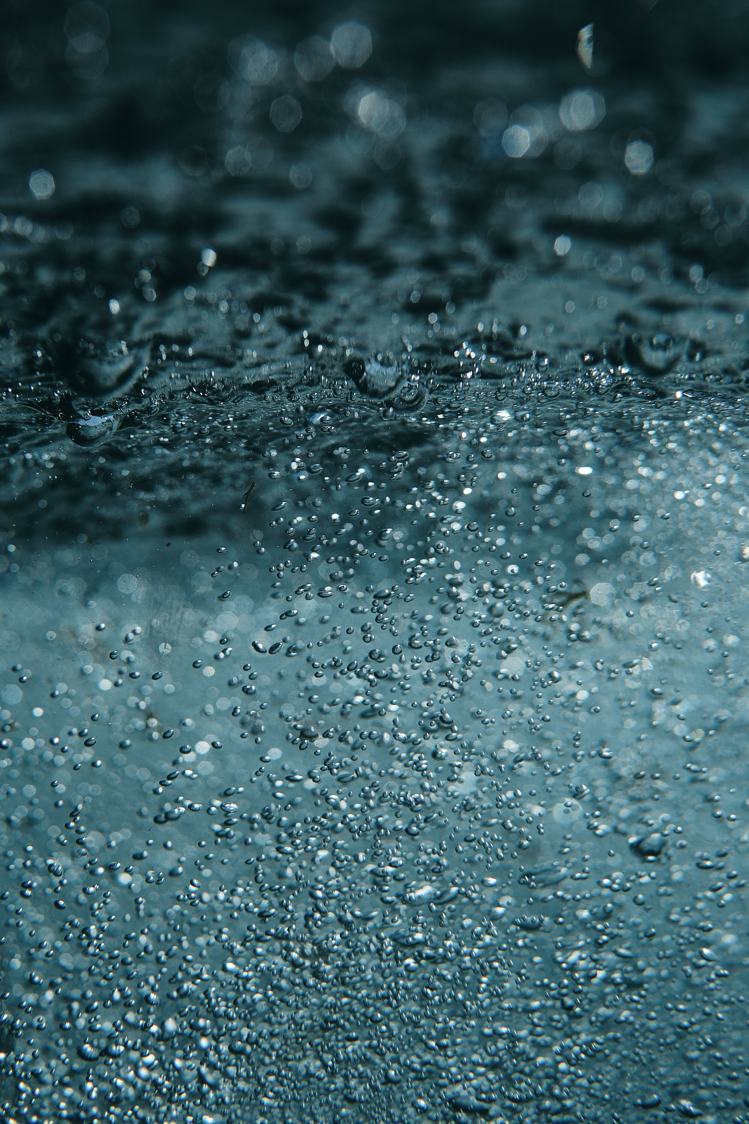 DSCF4654.jpg