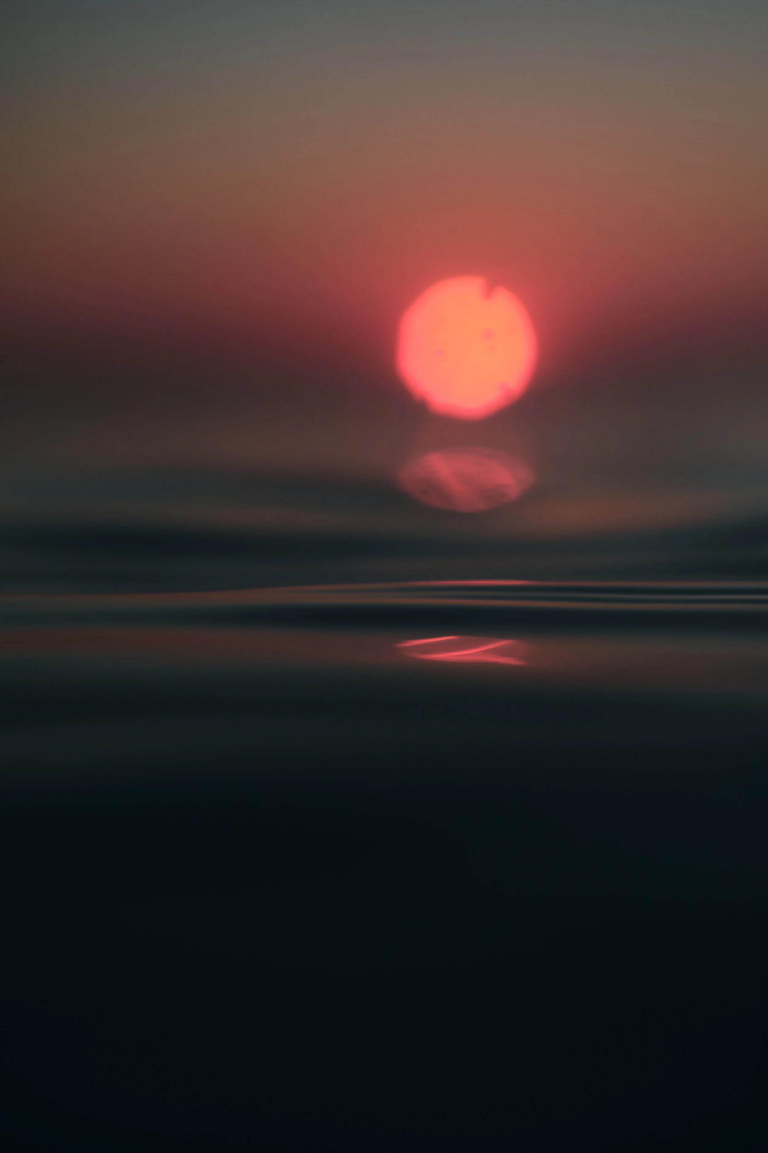 DSCF1317 1.jpg