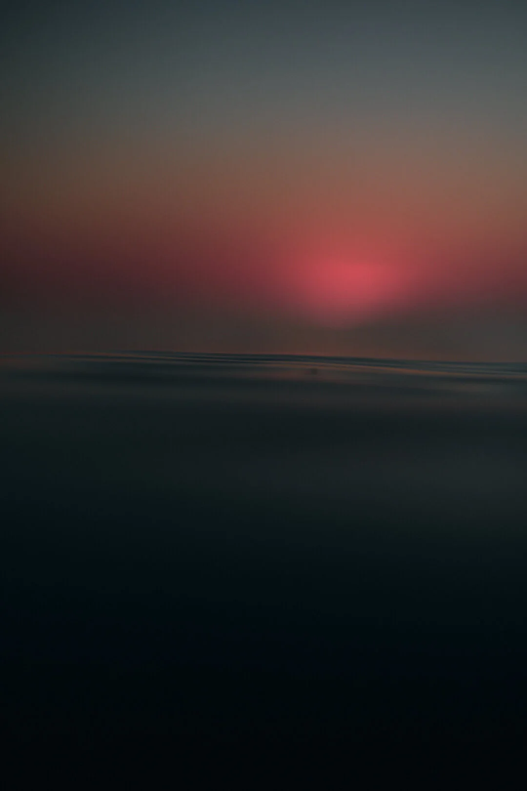 DSCF1314 1.jpg