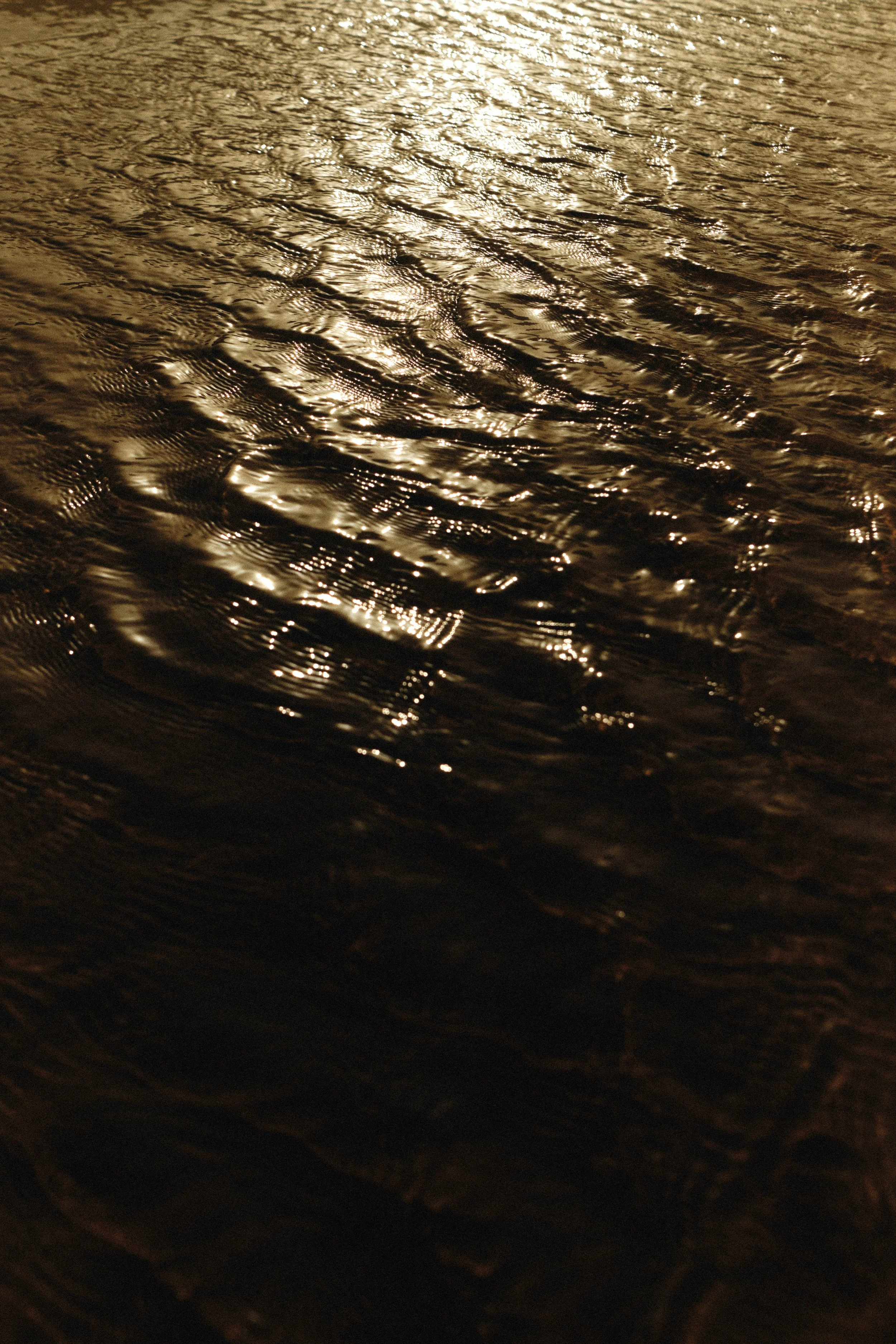 DSCF7200.jpg