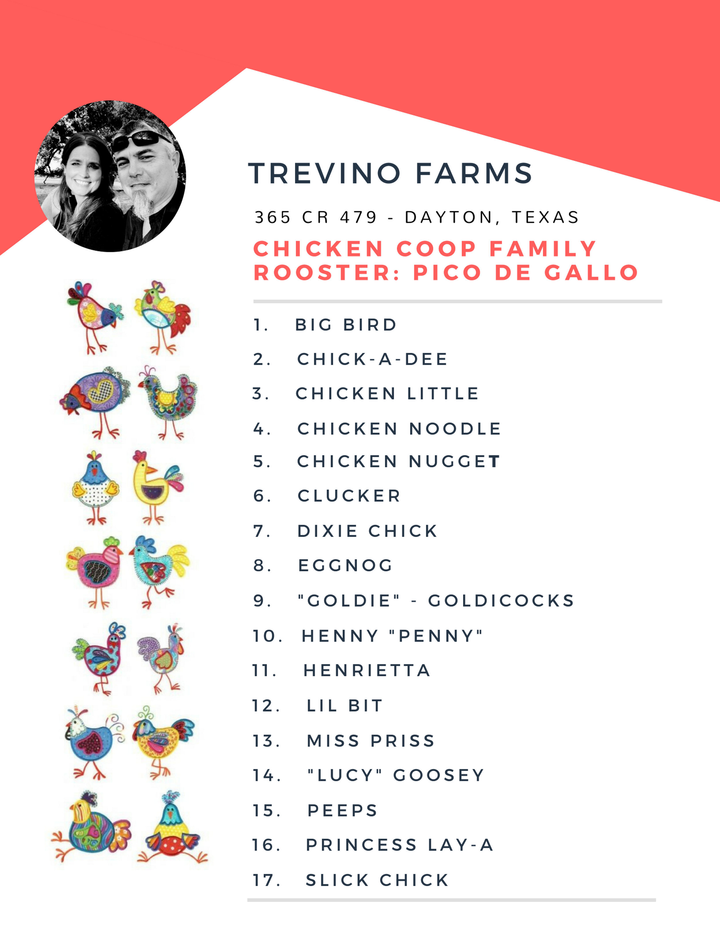 CHICKENS.jpg