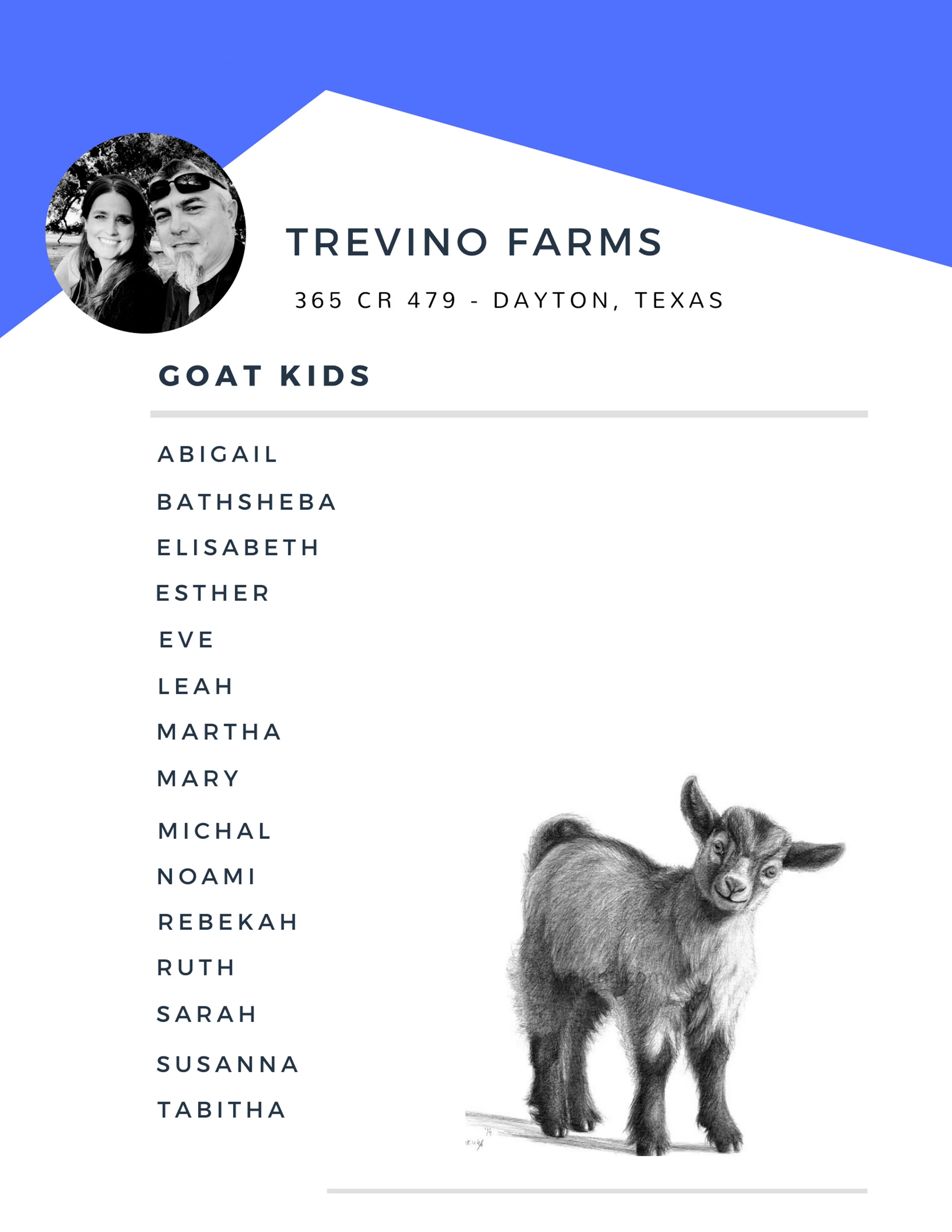 GOATS.jpg