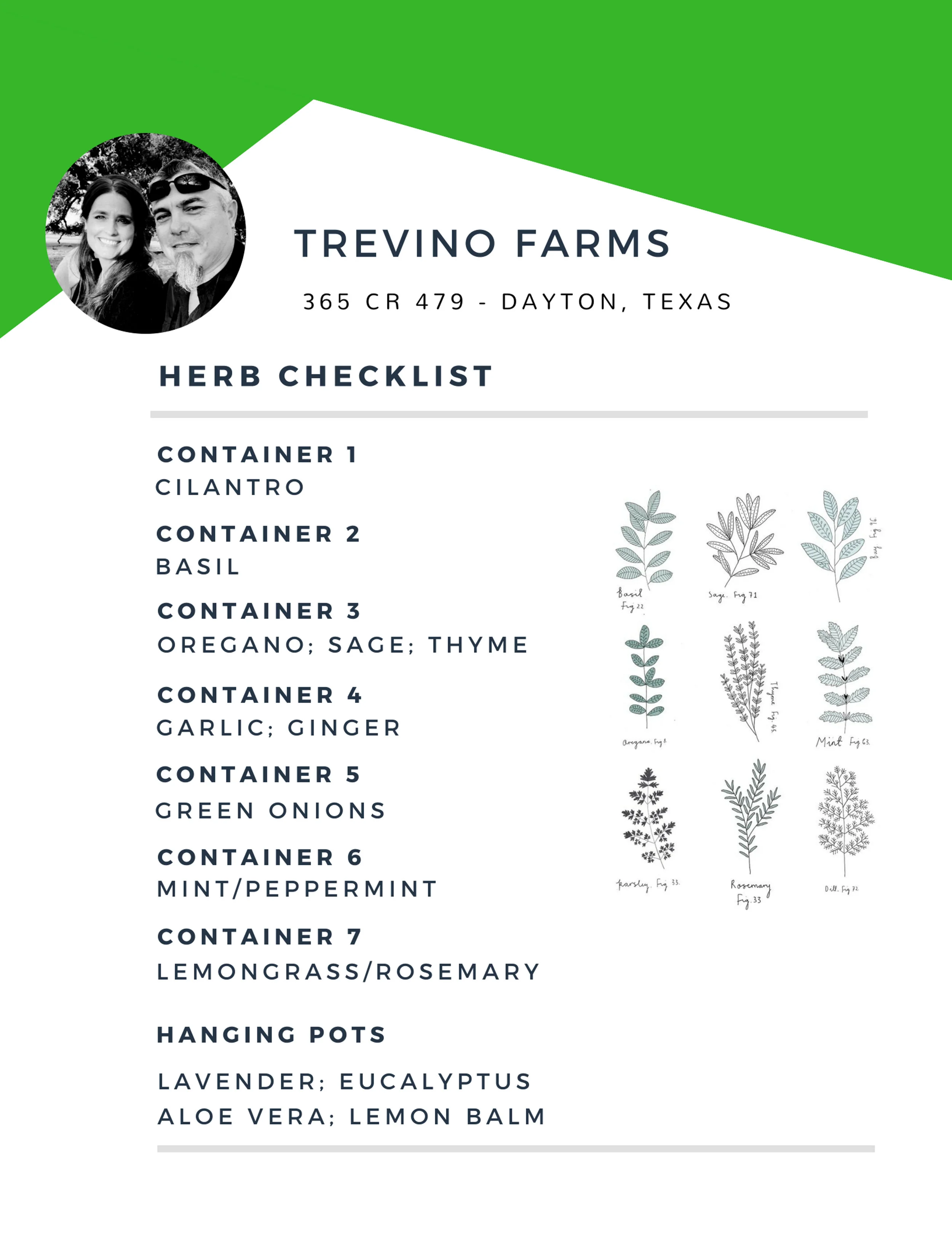 Herbs2.jpg