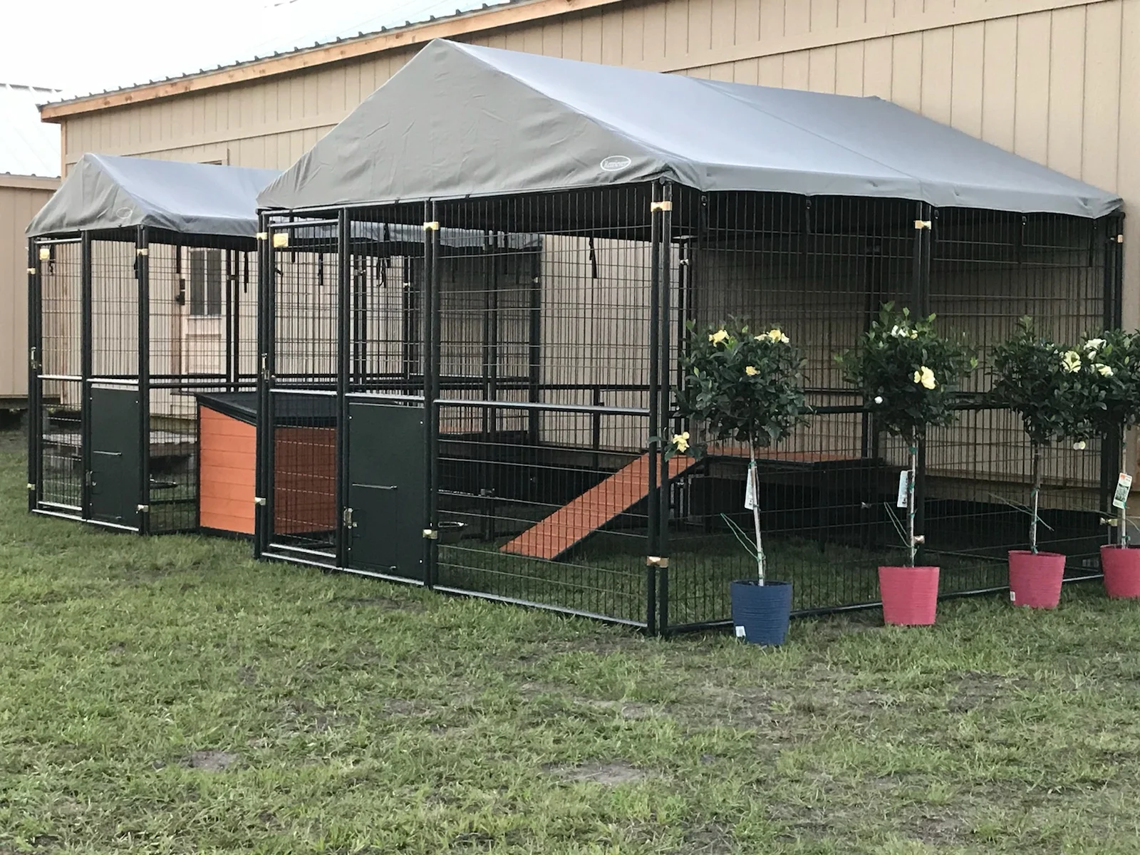 DOG KENNELS.jpg
