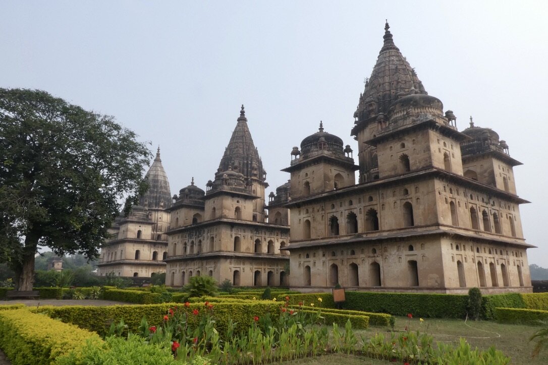Wedding celebrations with vultures
