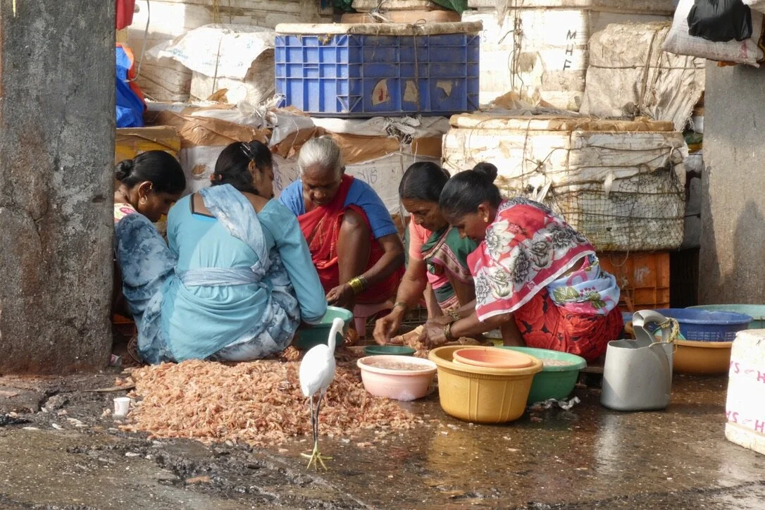 Something is fishy …