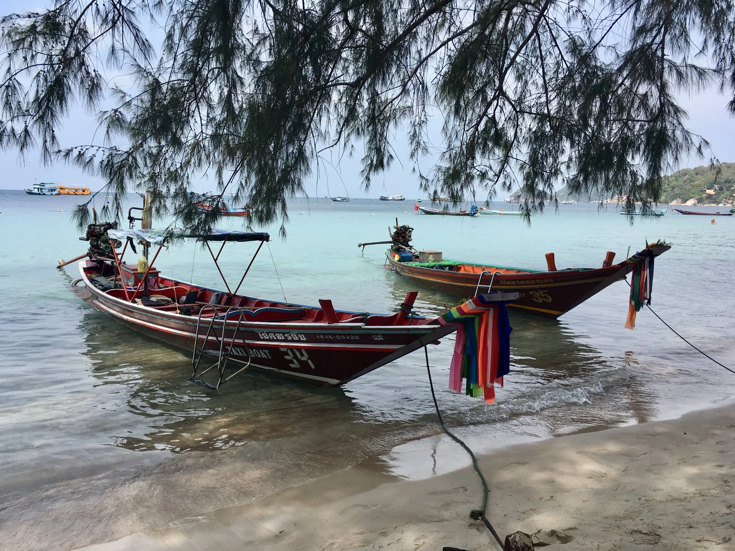 Sunbathing on the island of Ko Tao